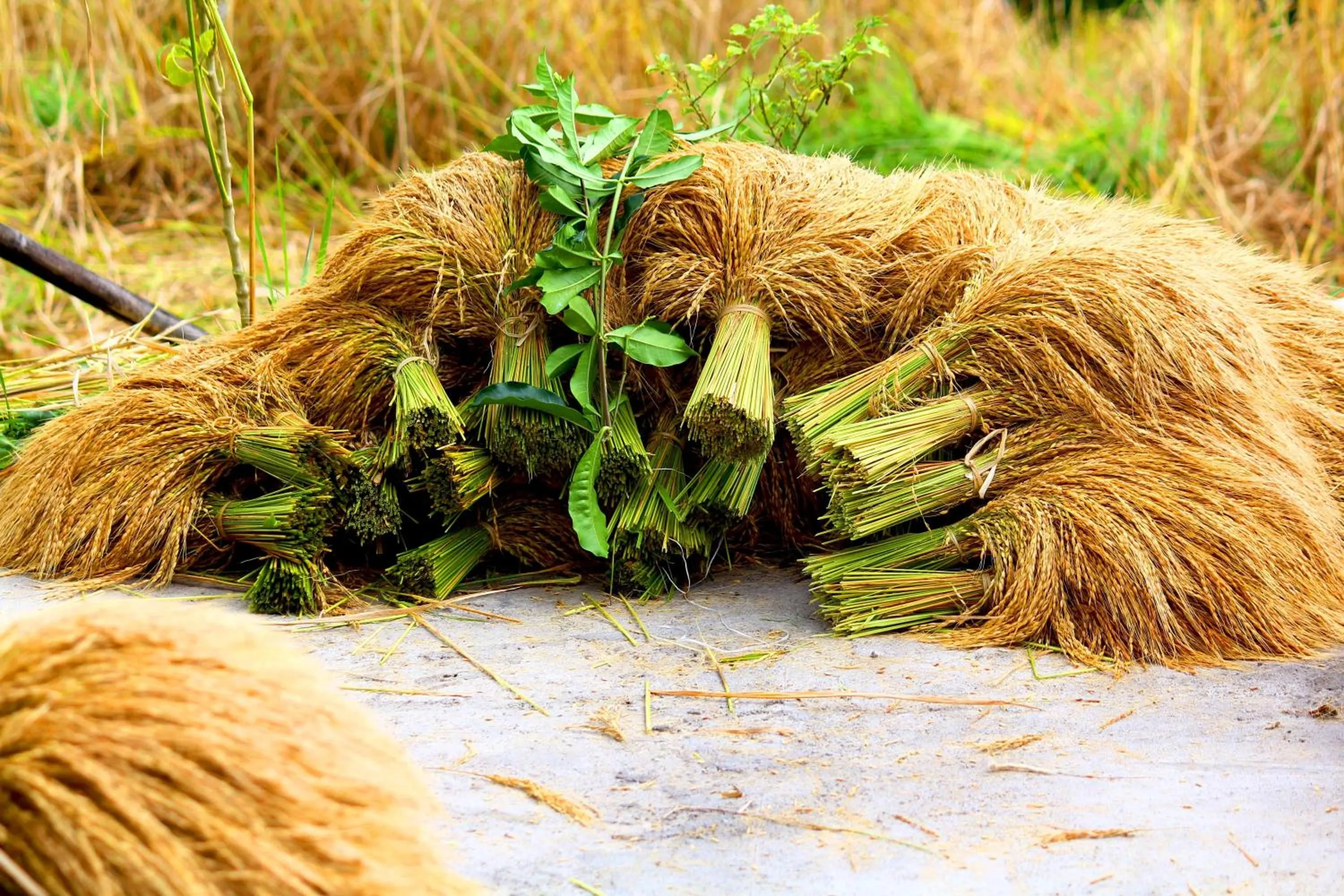 Hiking in Bali Bening