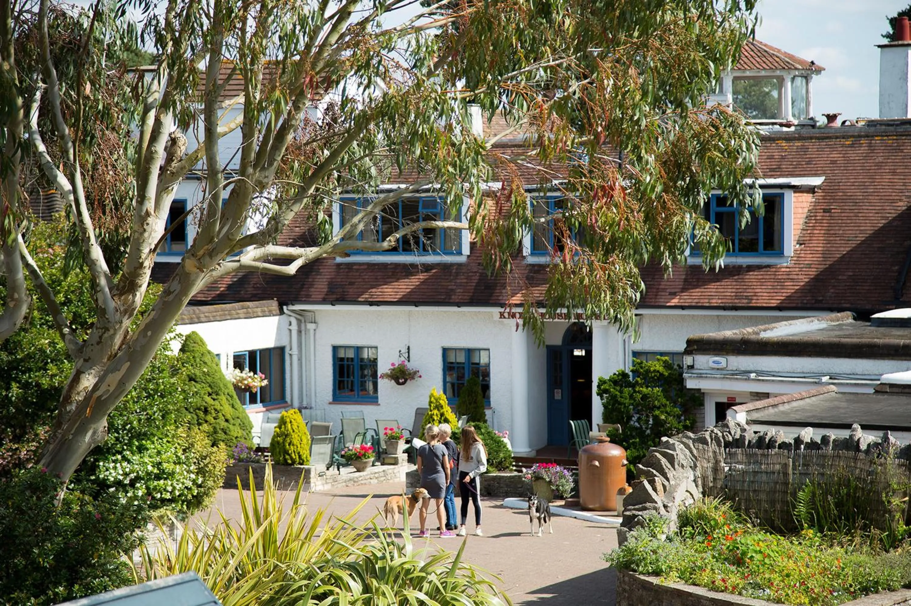 Property building in Knoll House