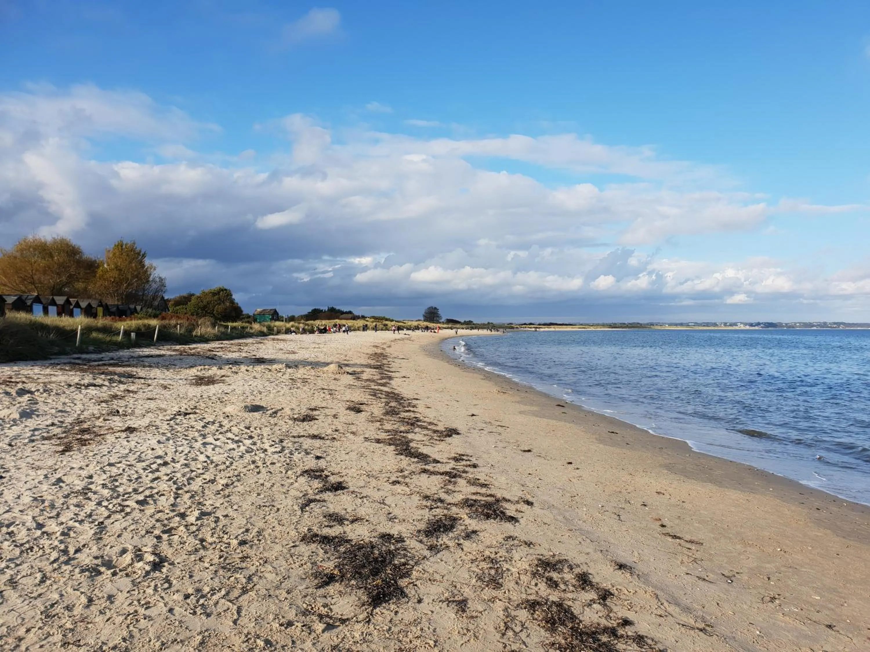 Natural landscape in Knoll House