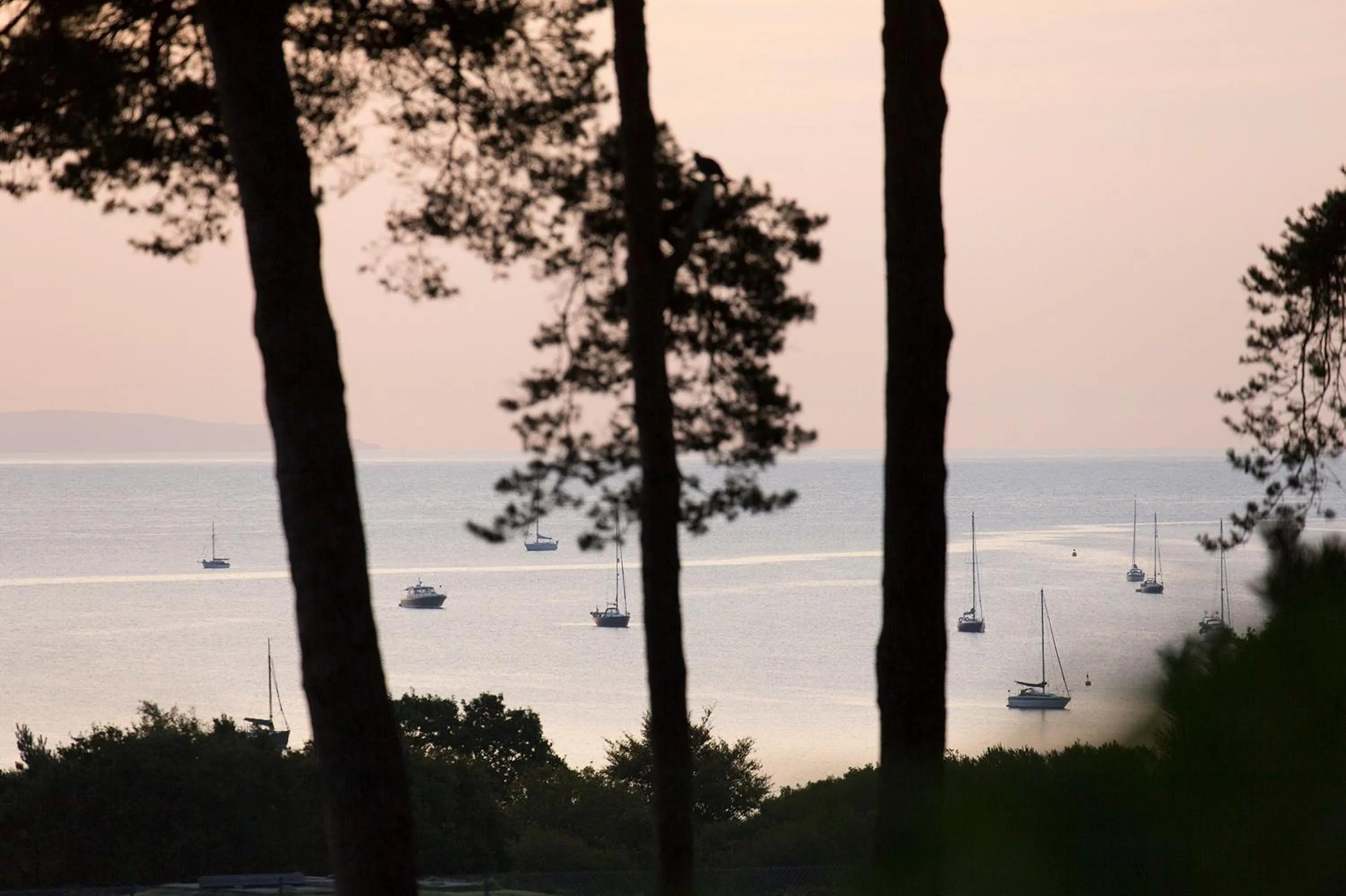 Sea view in Knoll House