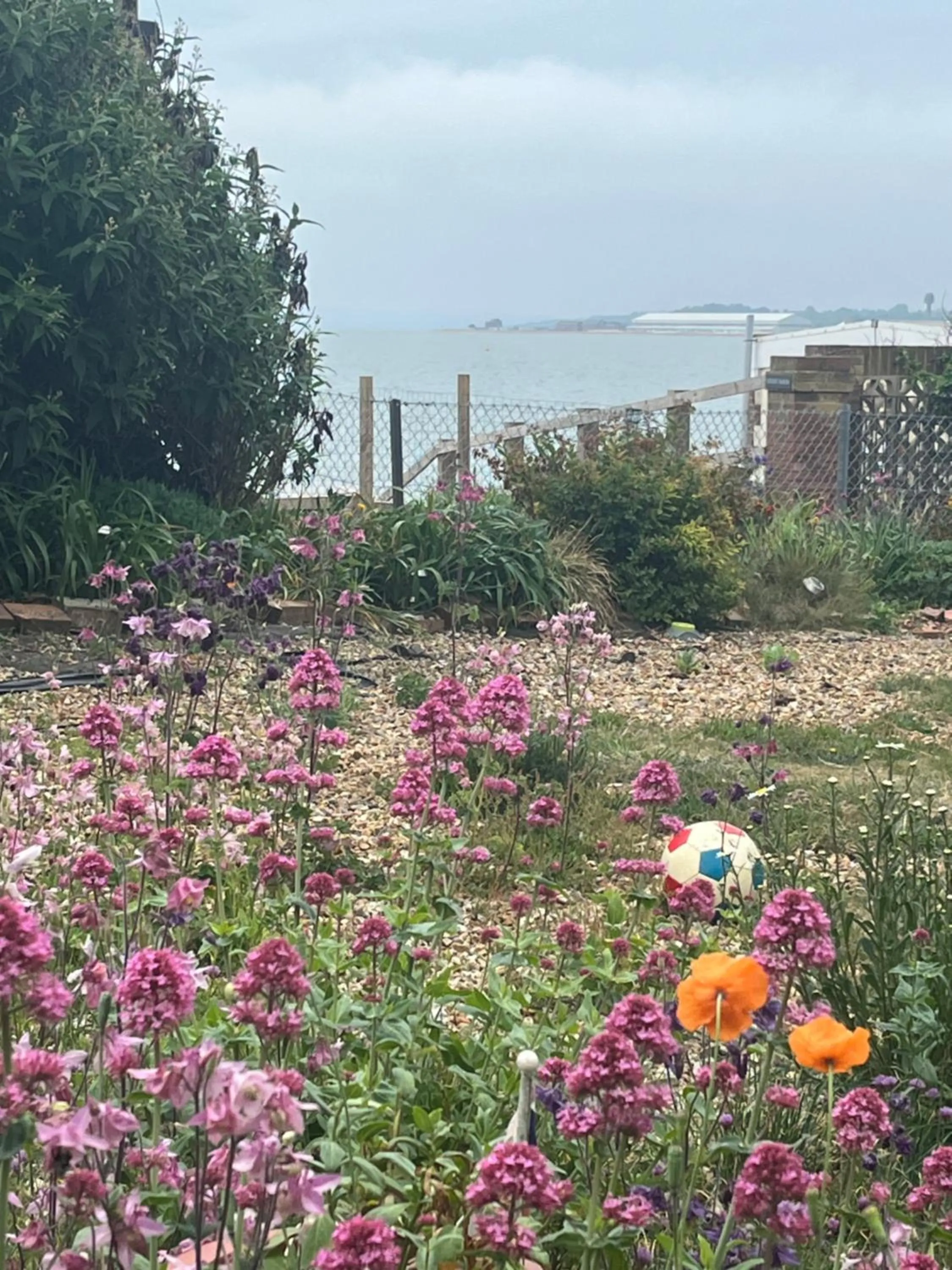 Cove Cott Guest Accommodation