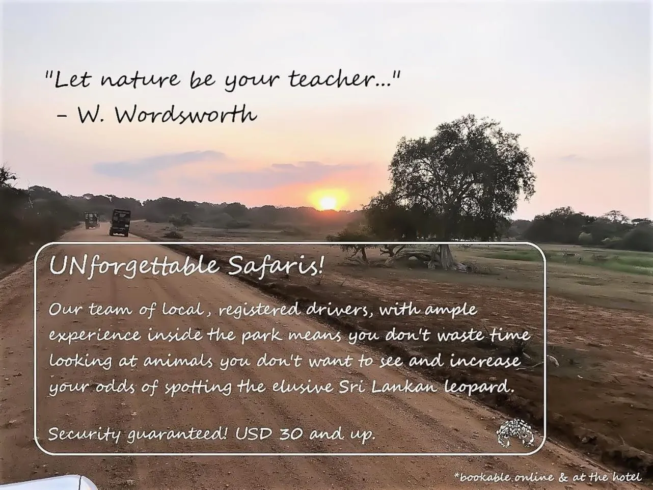 Activities in Arana Yala