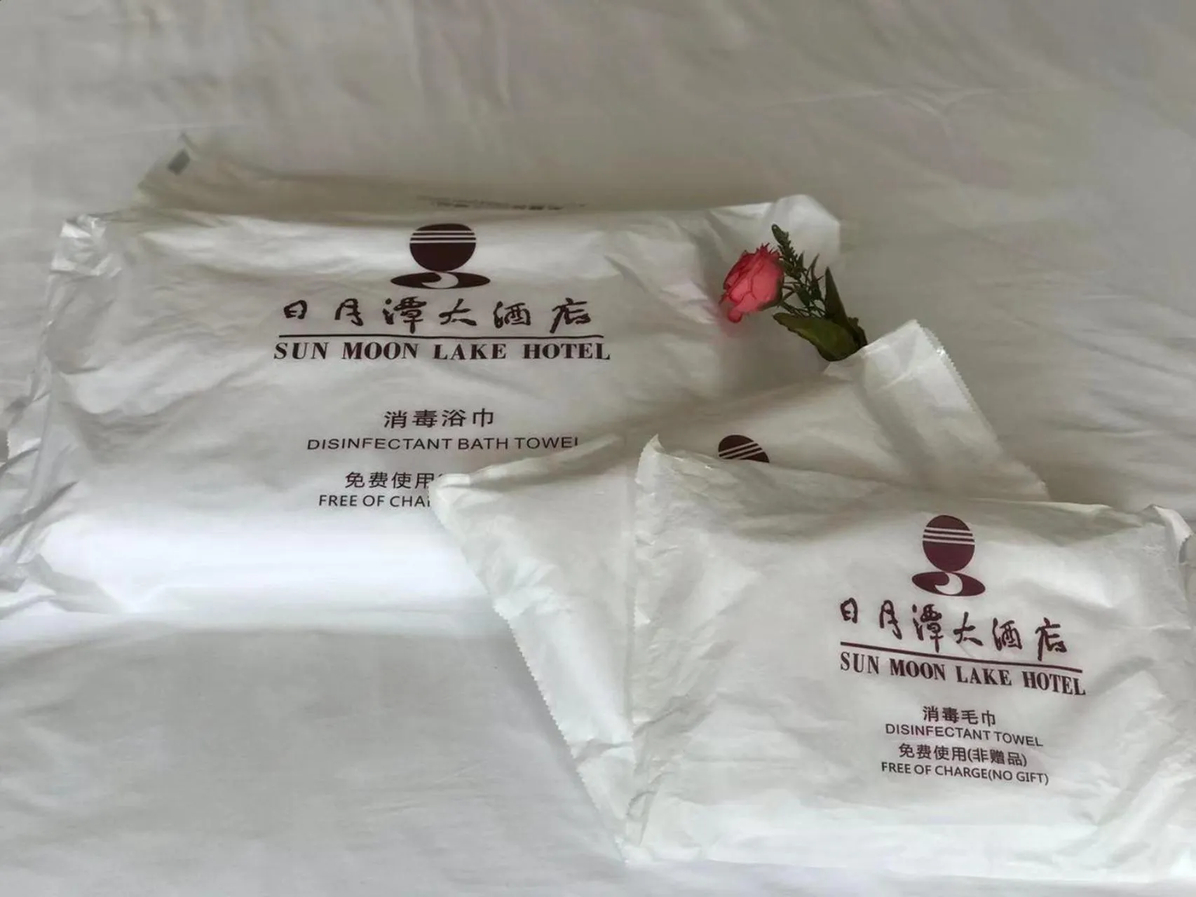 Toilet in Sun Moon Lake Hotel Dalian大连火车站店