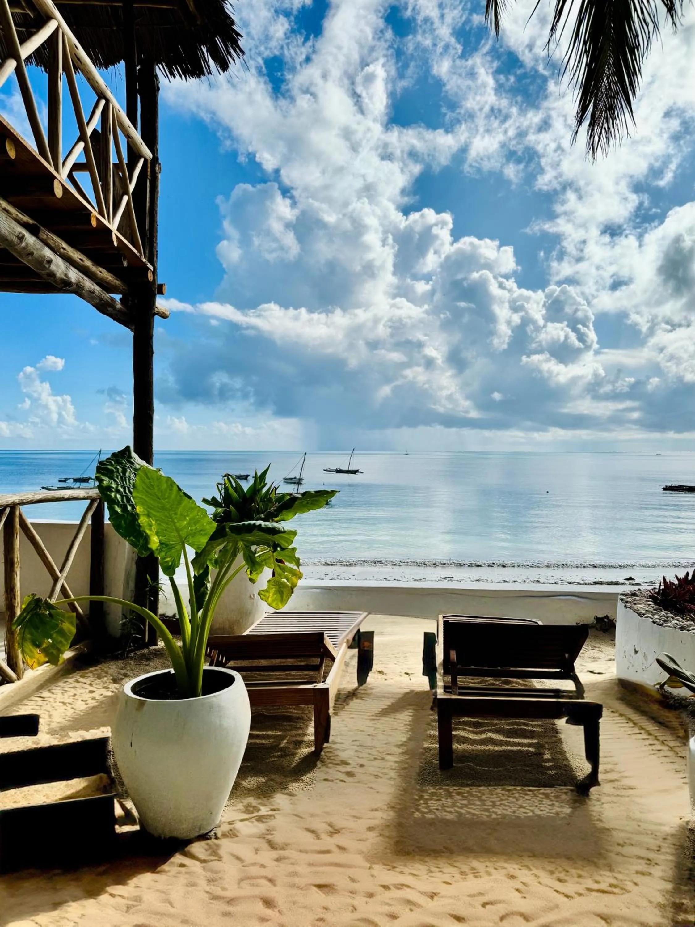 Day in Mango Beach House