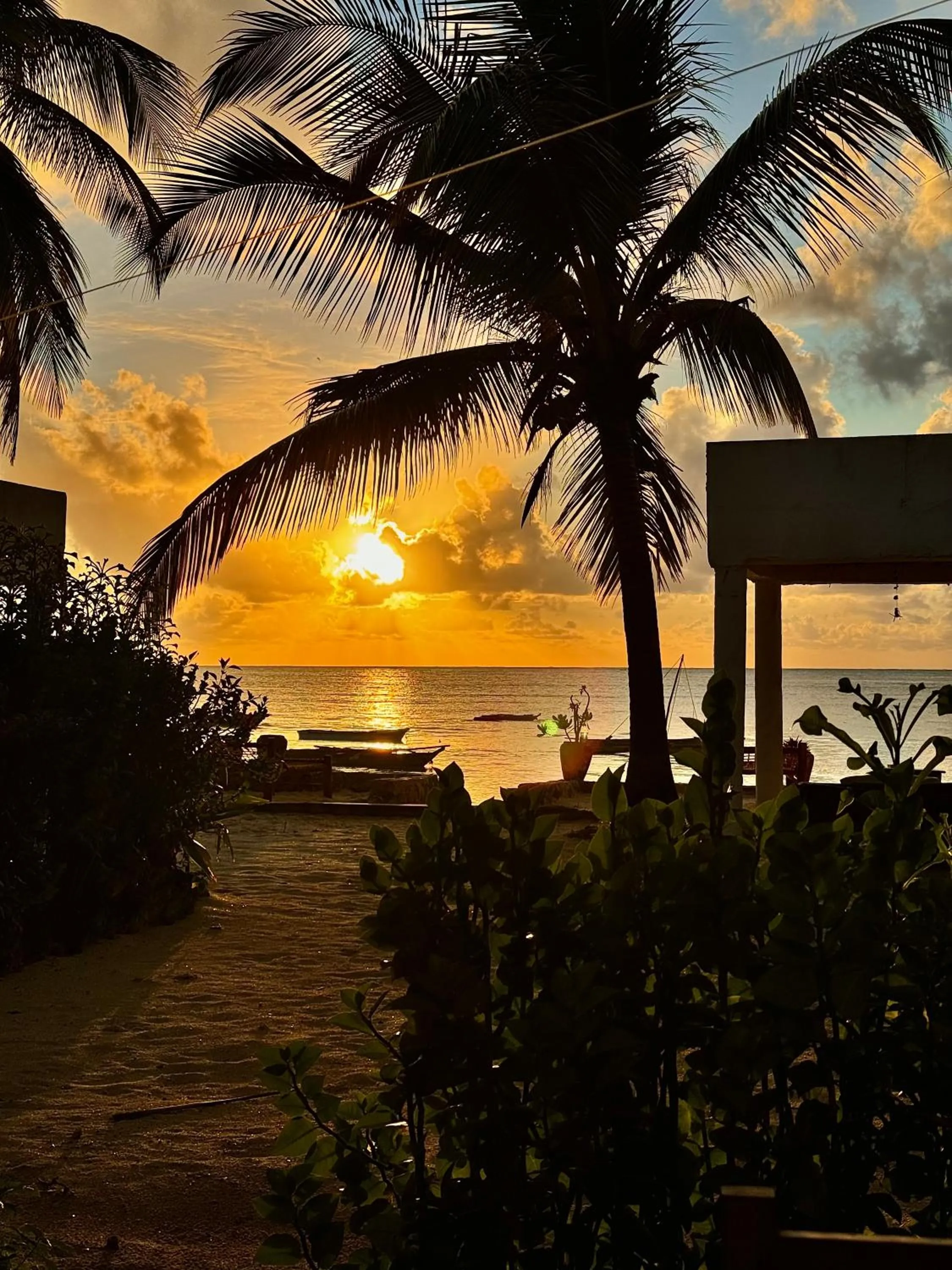 Natural landscape in Mango Beach House