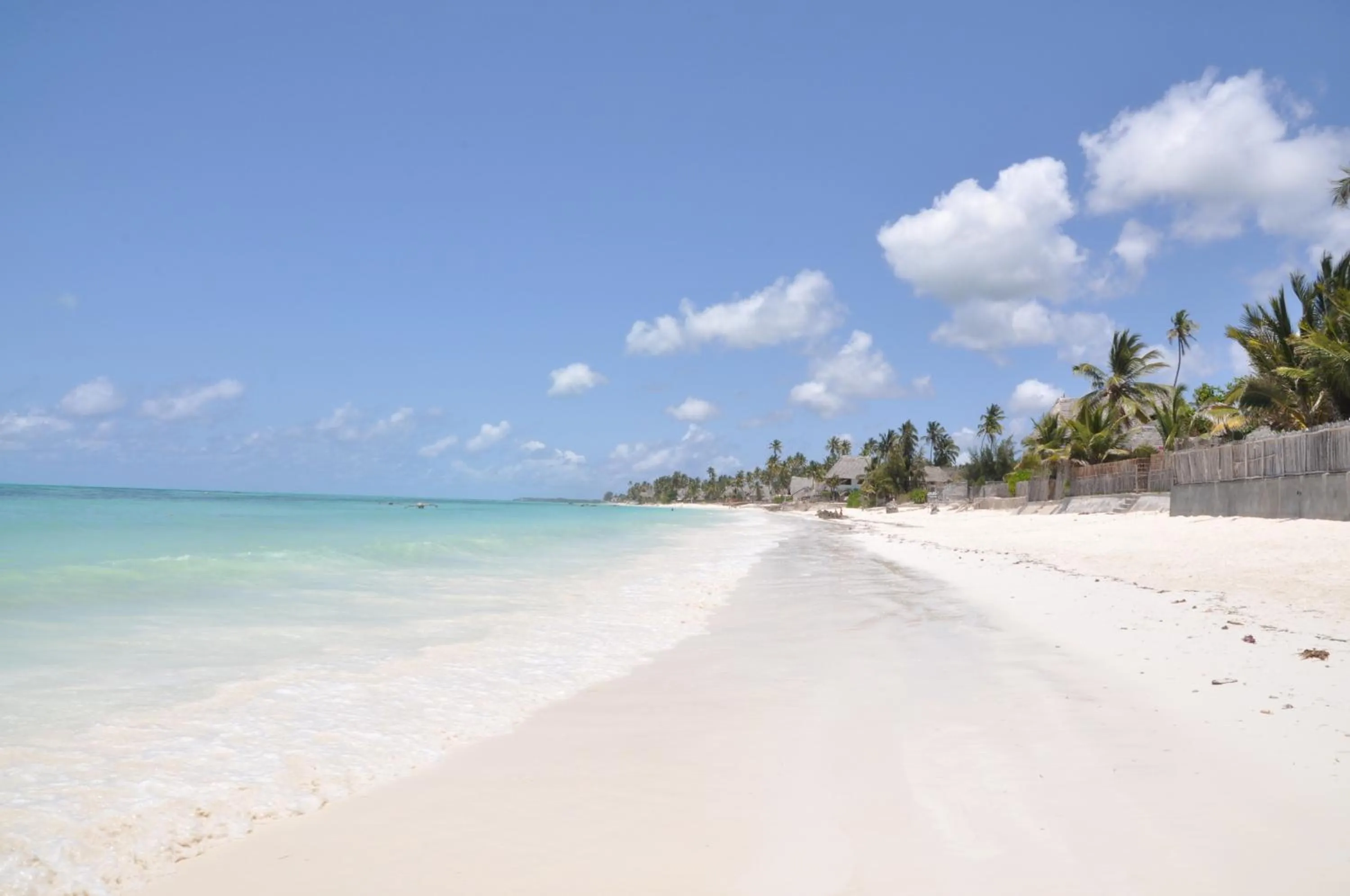 Day in Mango Beach House