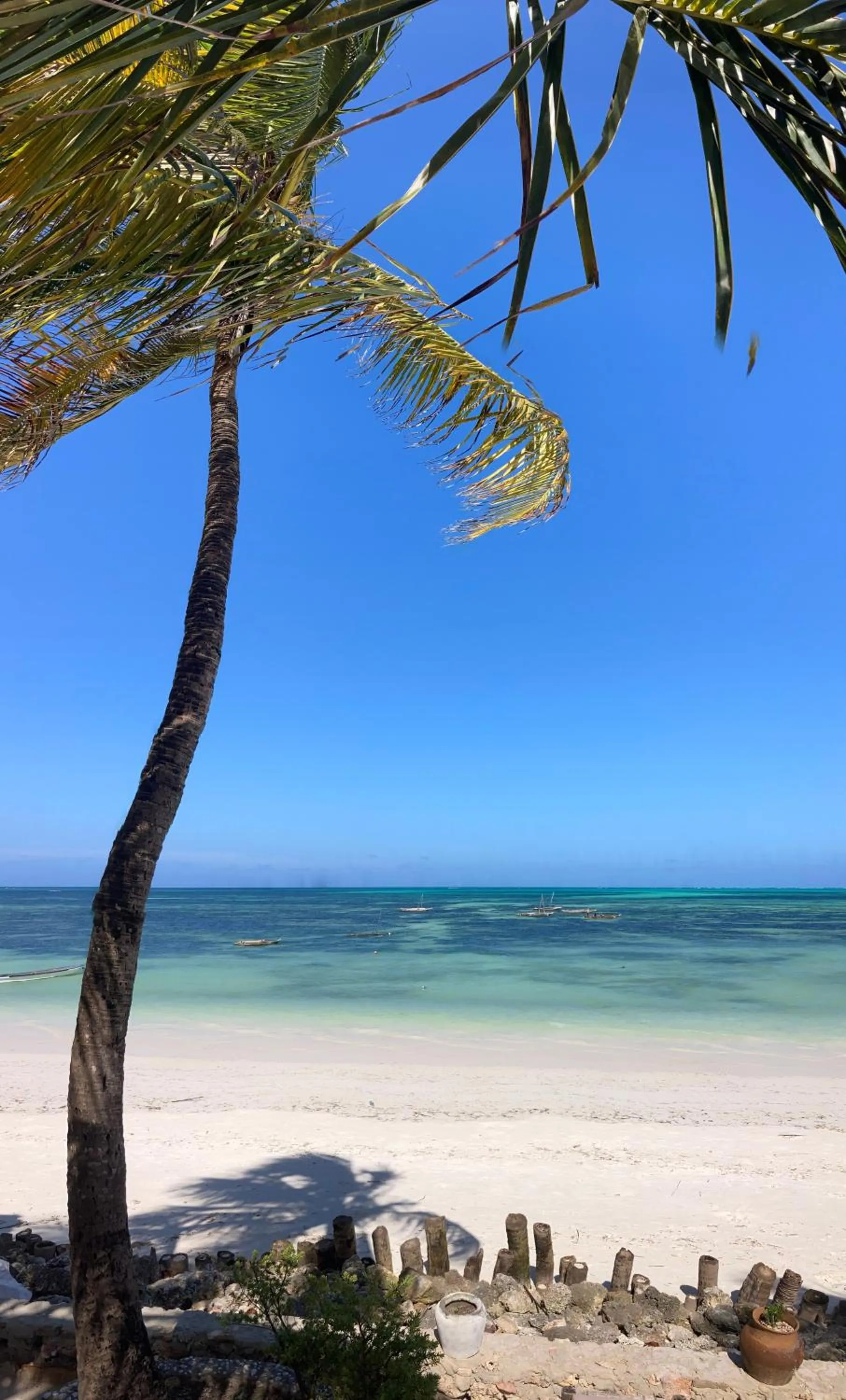 Day in Mango Beach House