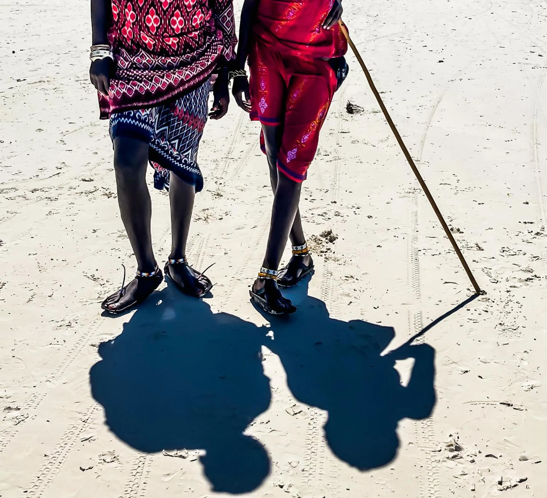 Day in Mango Beach House