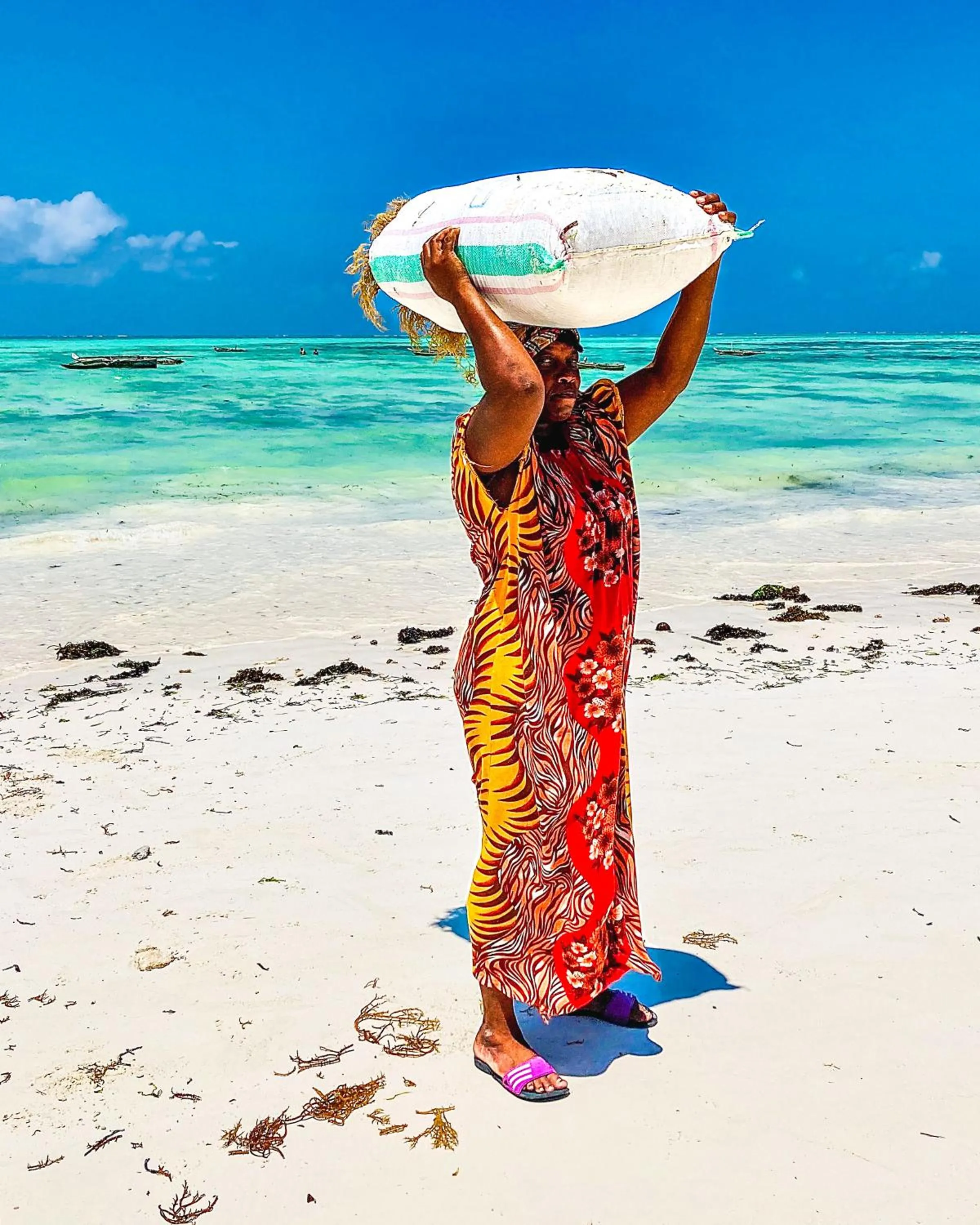 Day in Mango Beach House