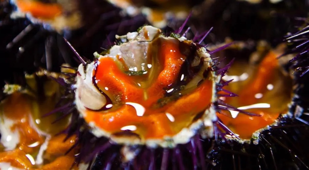 Trulli Resort Monte Pasubio Trulli bbalberobellocom