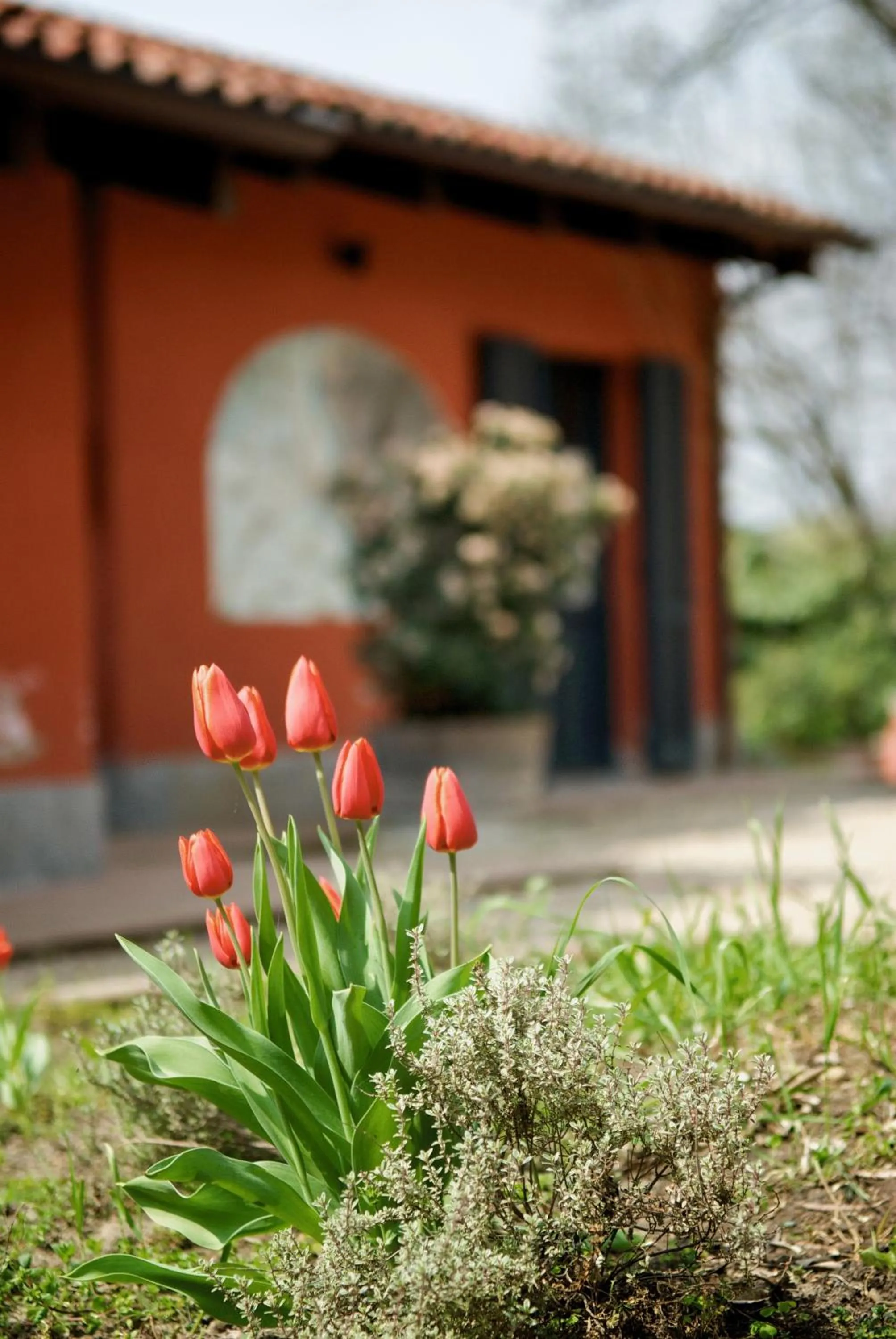 Other in Le Serre Suites & Apartments