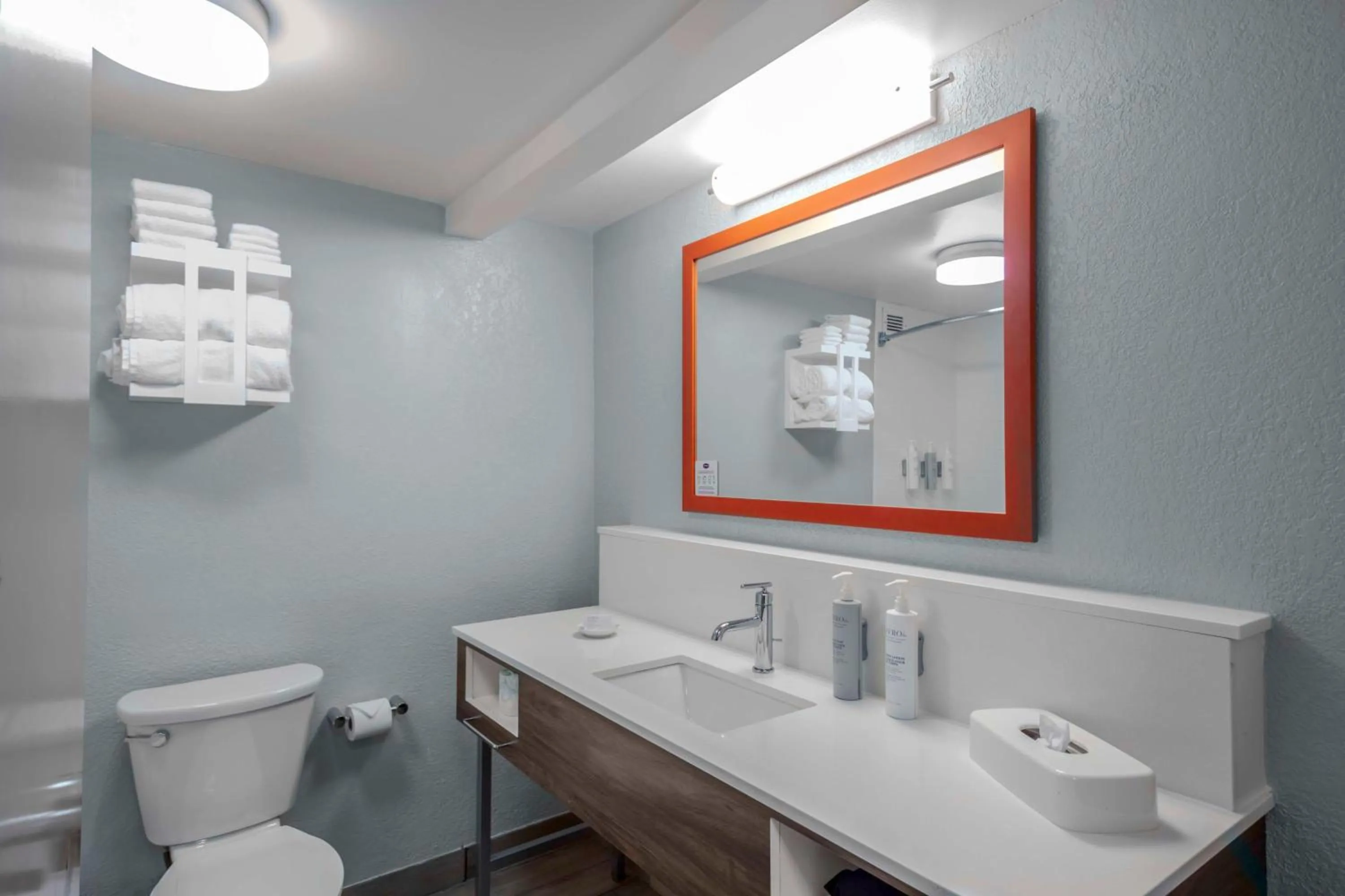 Bathroom in Hampton Inn Sarasota I-75 Bee Ridge