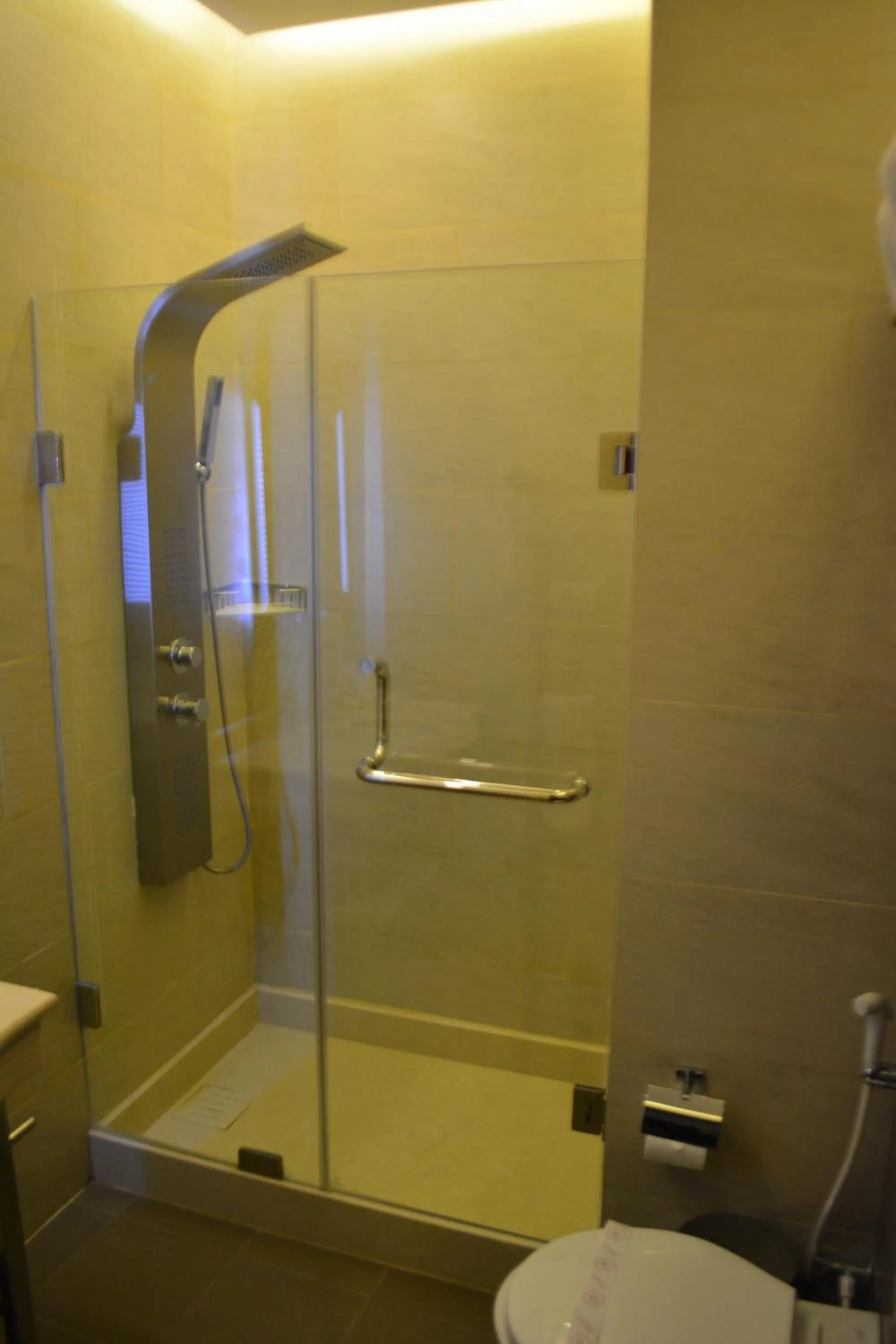 Shower in Midtown Hotel & Suites