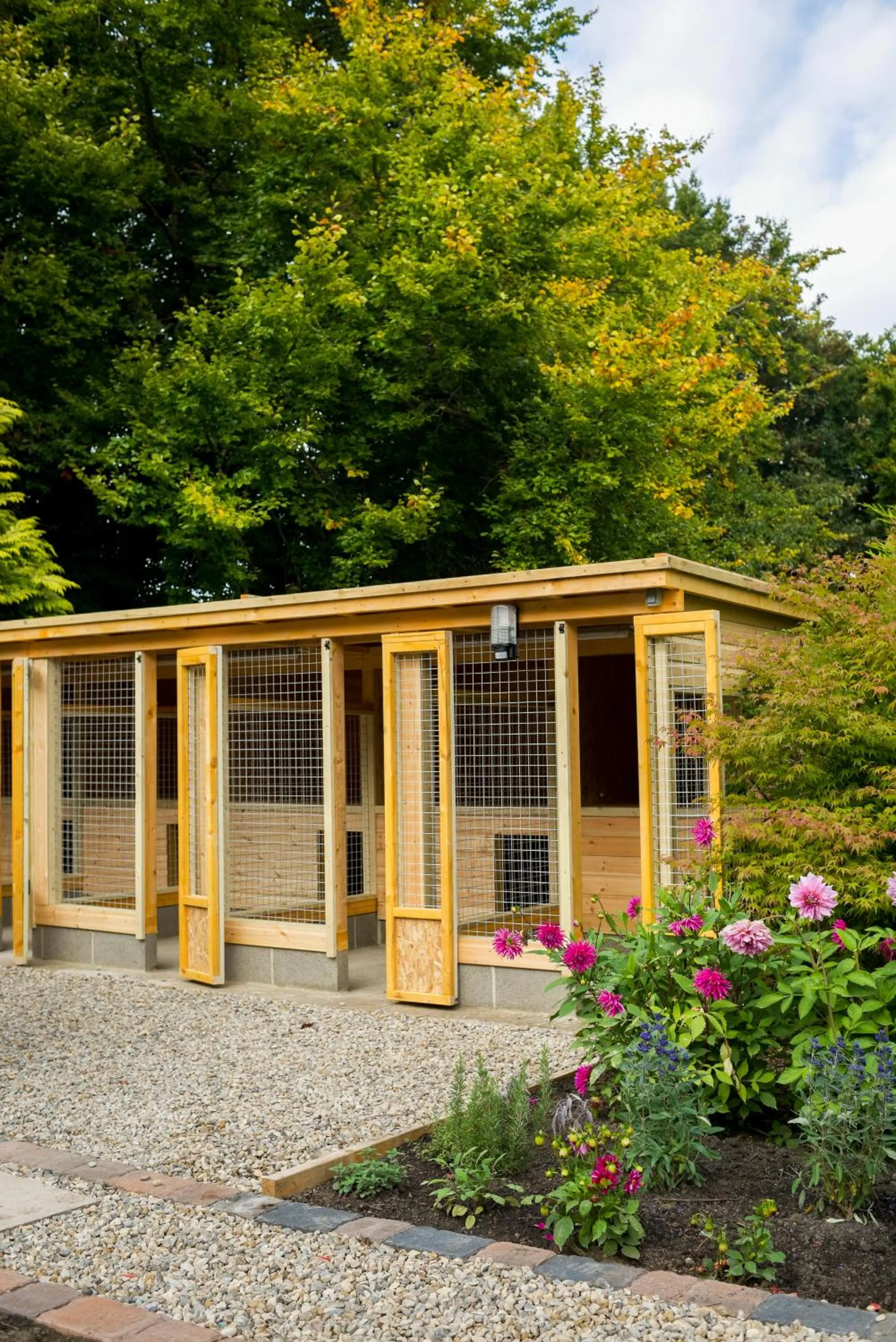 Pets in The Cookie Jar