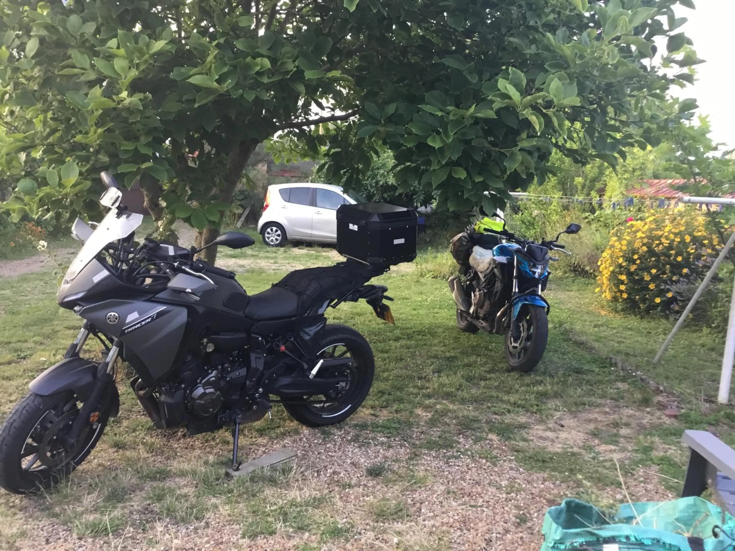 Garden in Chambres d'hôtes Le 42