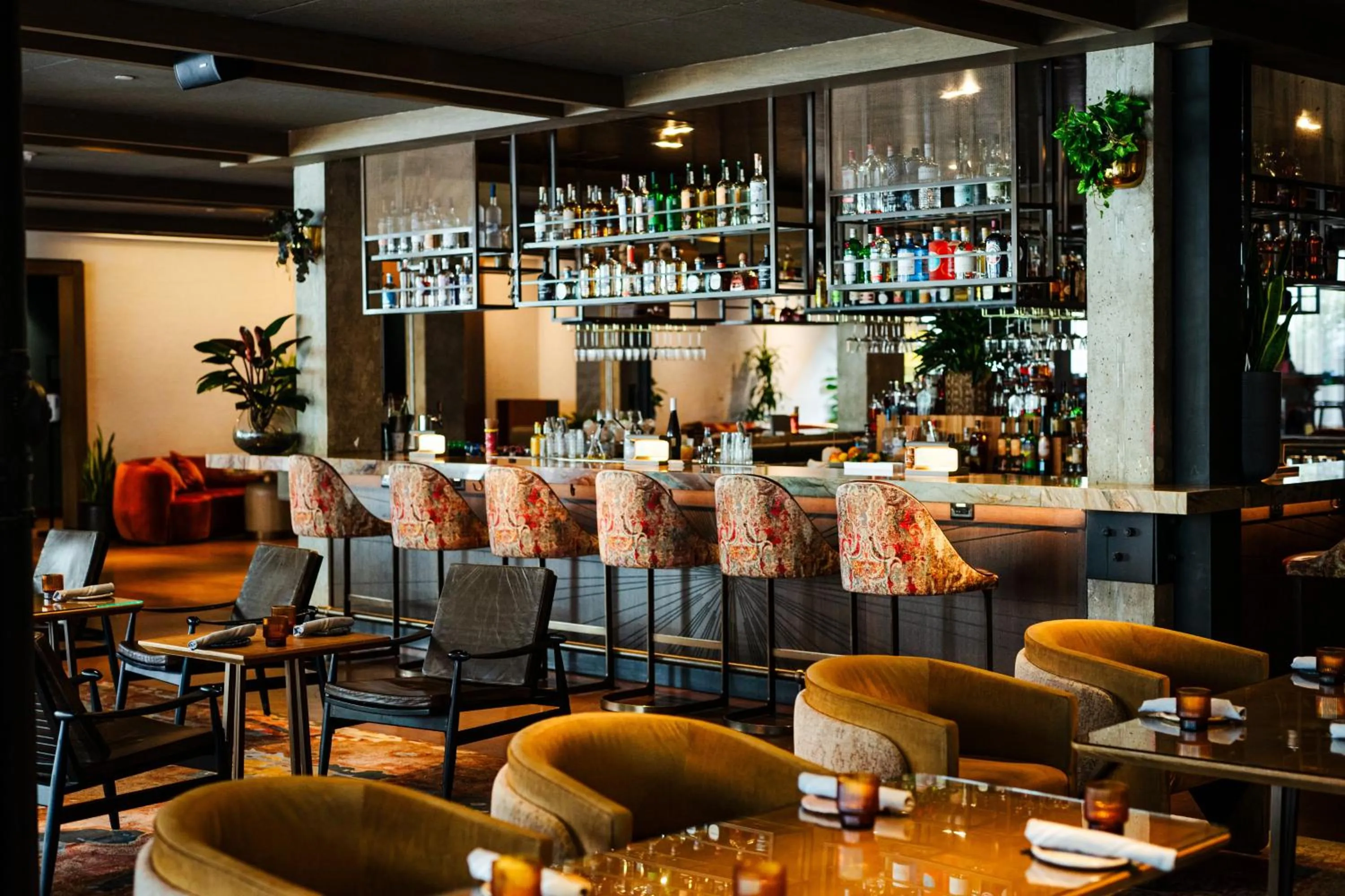 Restaurant/places to eat in Vignette Collection Yours Truly DC by IHG