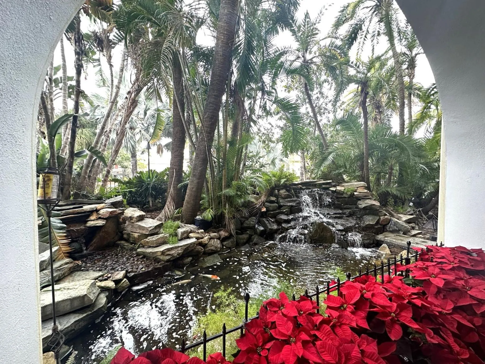 Natural landscape in Tahitian Inn Boutique Hotel Tampa