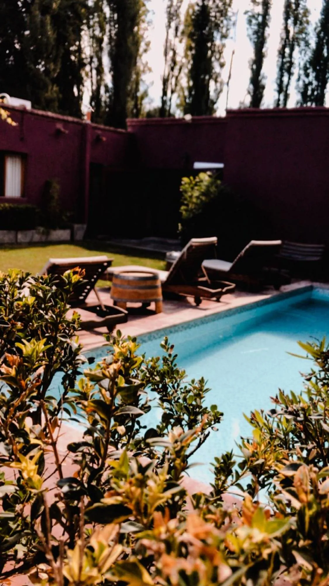 Swimming pool in Posada Borravino