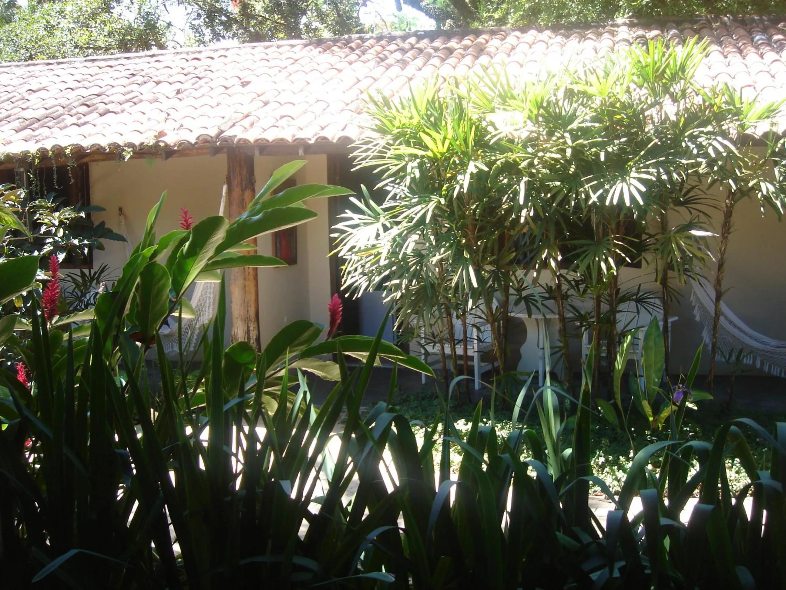 Day in Pousada Fragata - Arraial D Ajuda - Melhor Localização e Atendimento