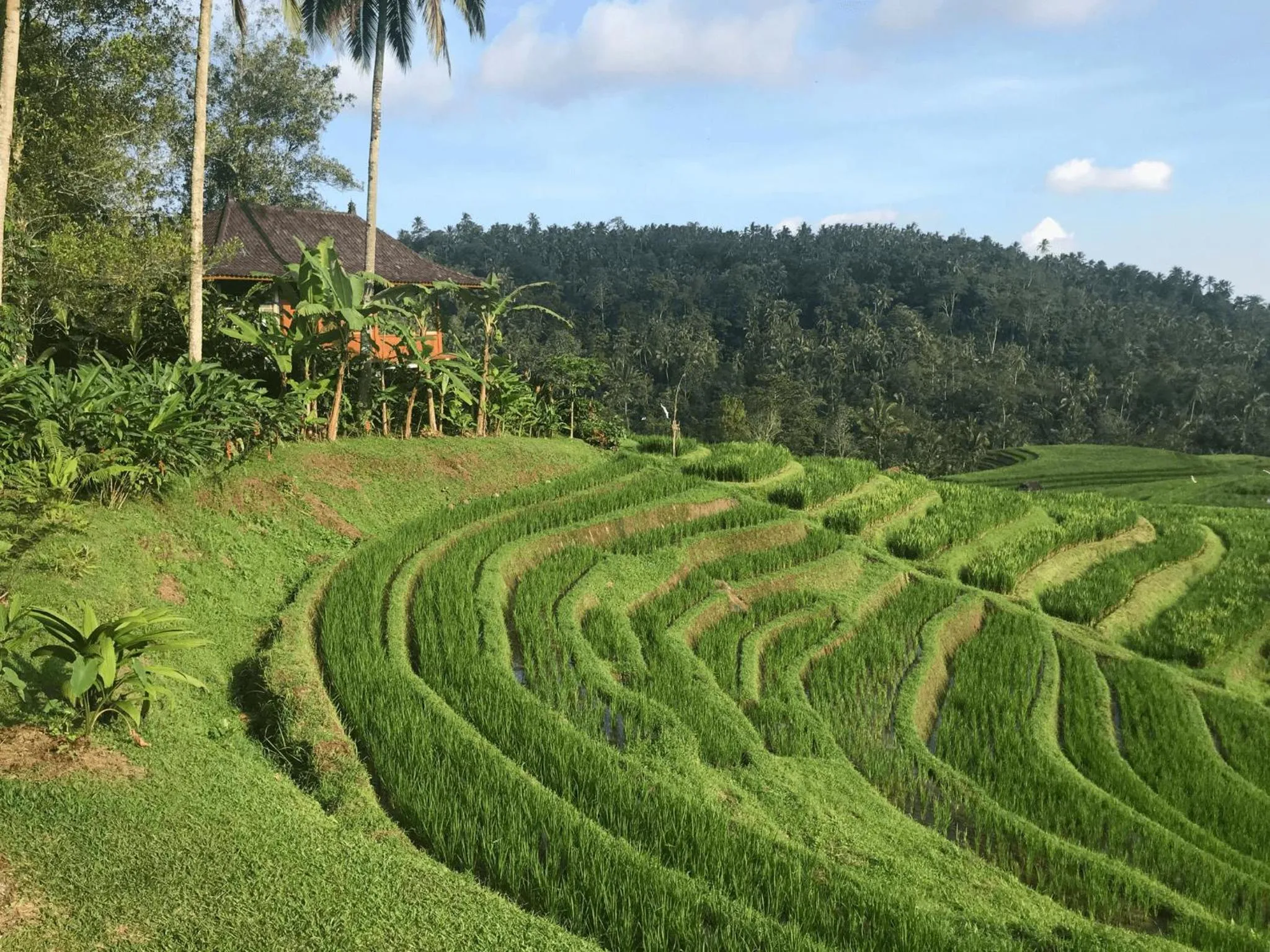 Property building in Clove Tree Hill