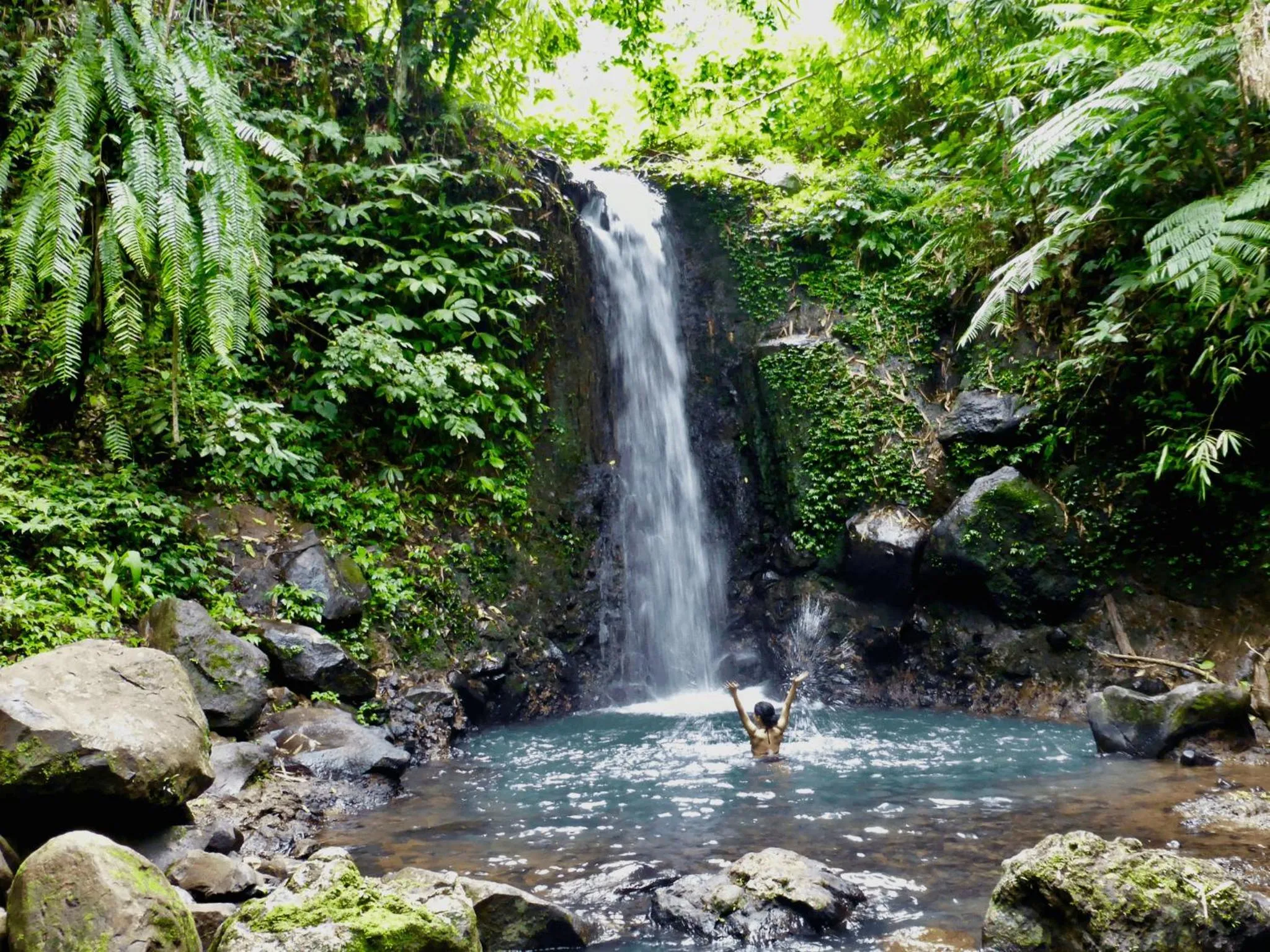 Natural landscape in Clove Tree Hill