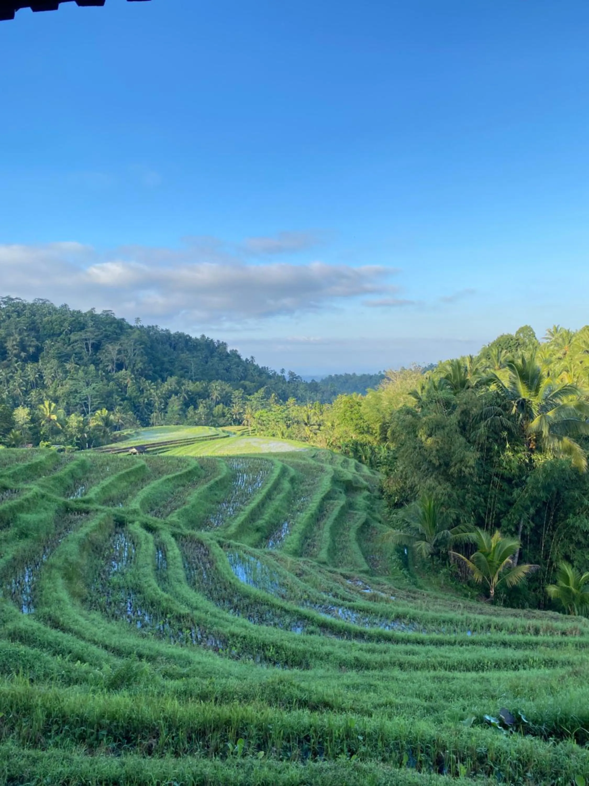 Restaurant/places to eat in Clove Tree Hill