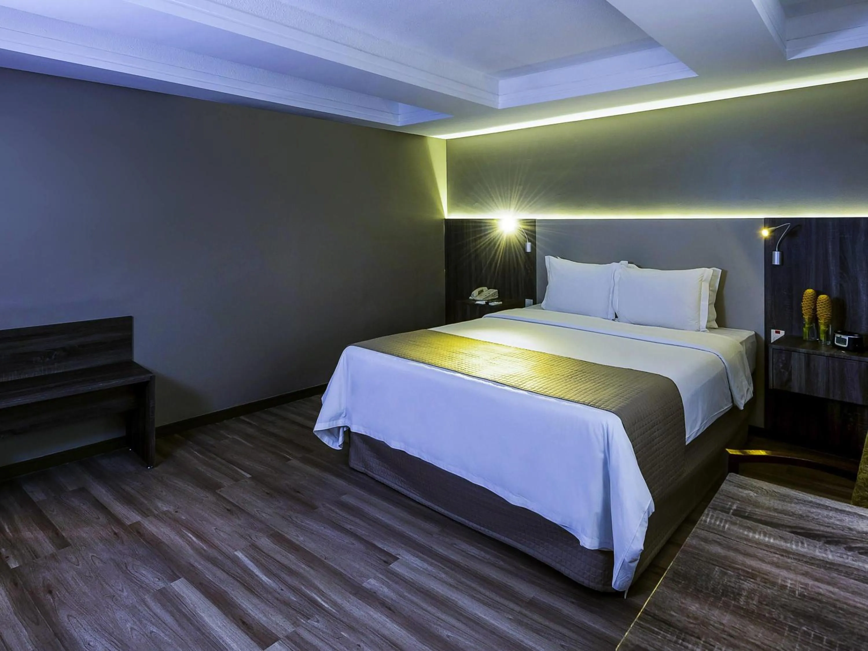 Business facilities, Bed in Grand Mercure Belem do Para