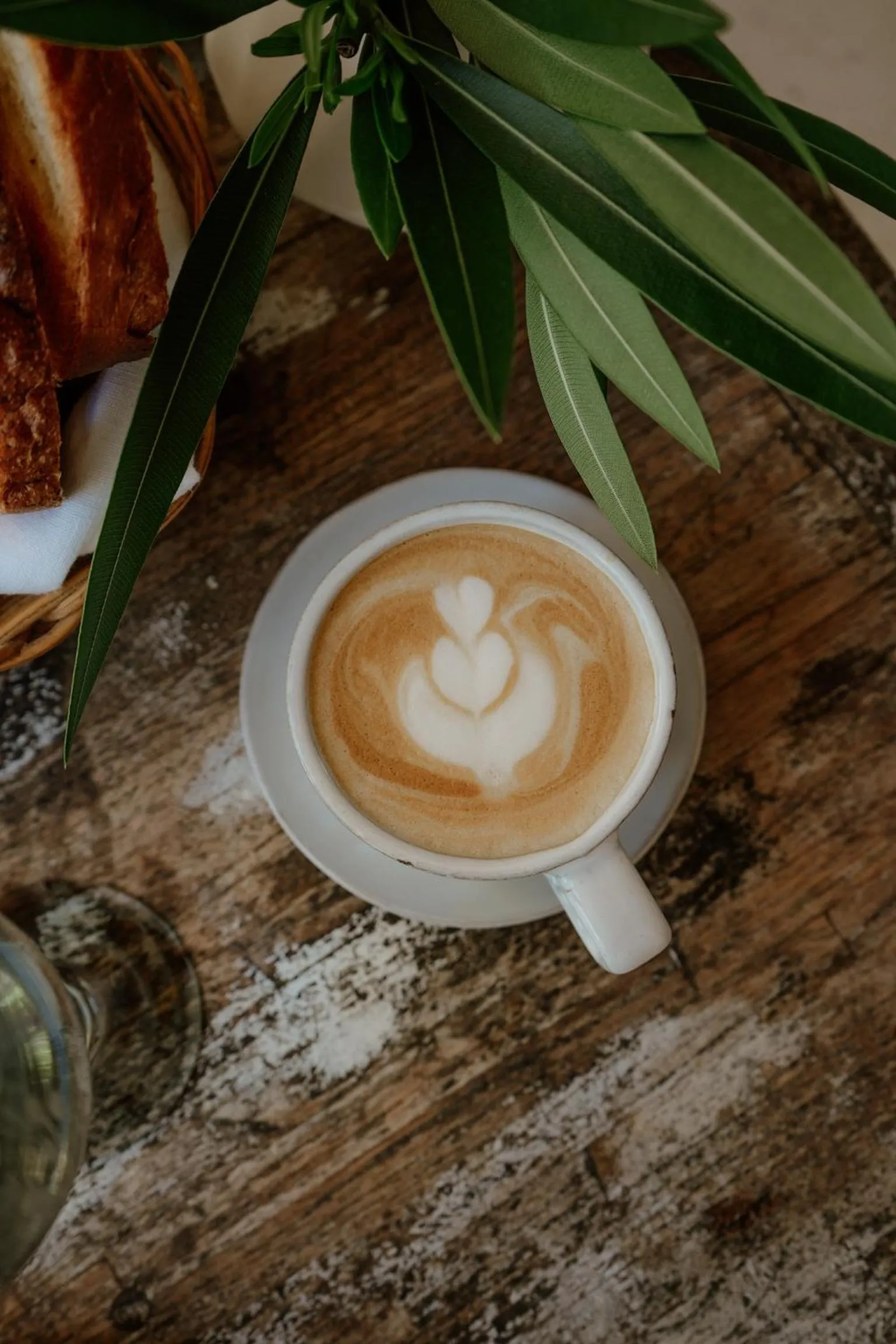 Restaurant/places to eat in Ser Casasandra Boutique Hotel