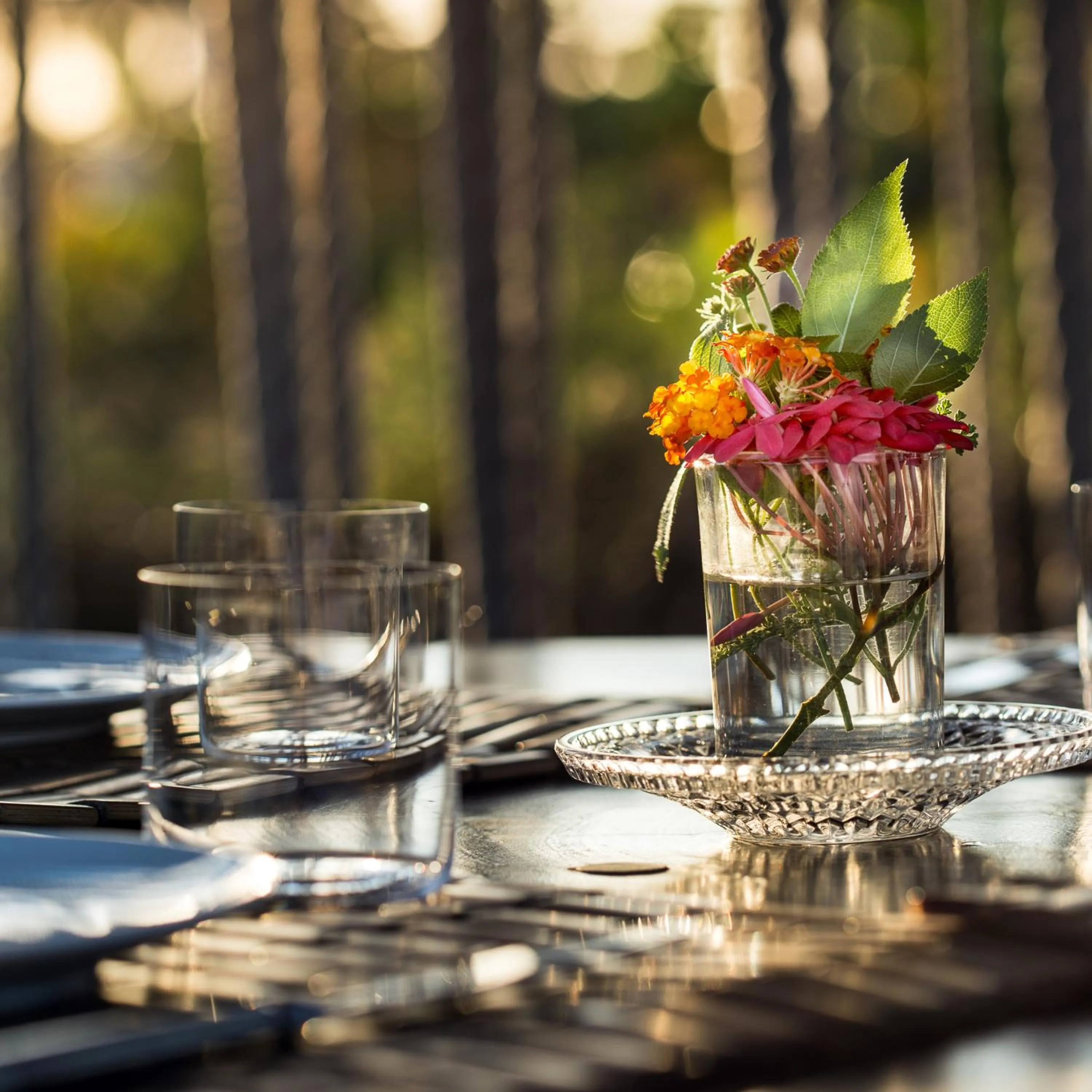 Restaurant/places to eat in Ser Casasandra Boutique Hotel