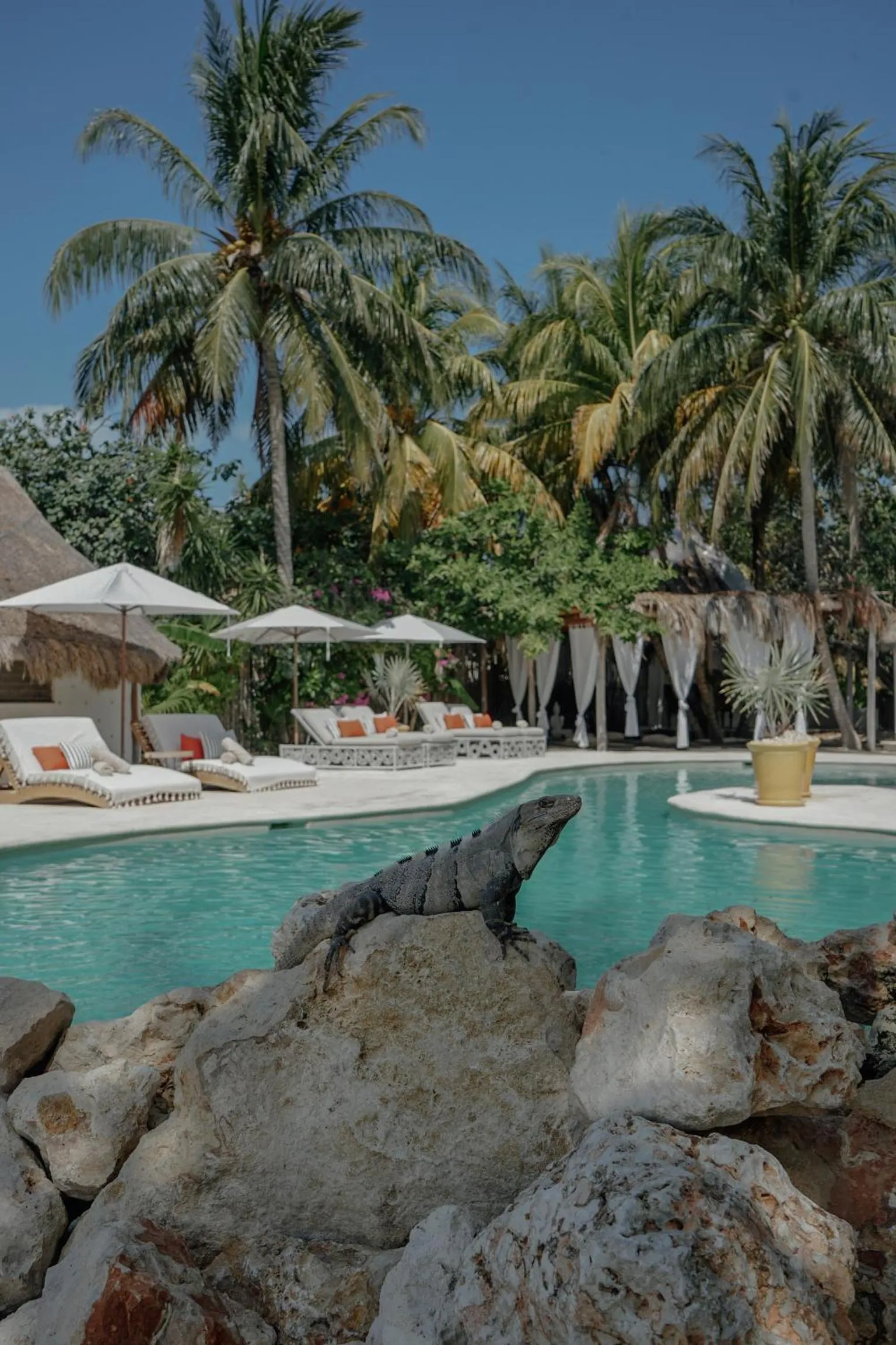 Swimming pool in Ser Casasandra Boutique Hotel