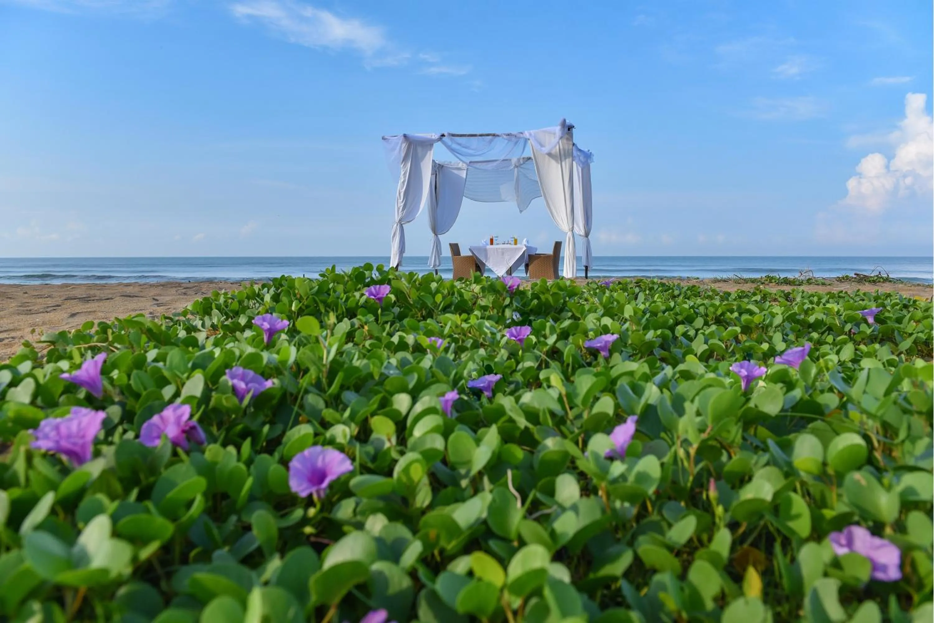 Beach in Clove Beach Wadduwa