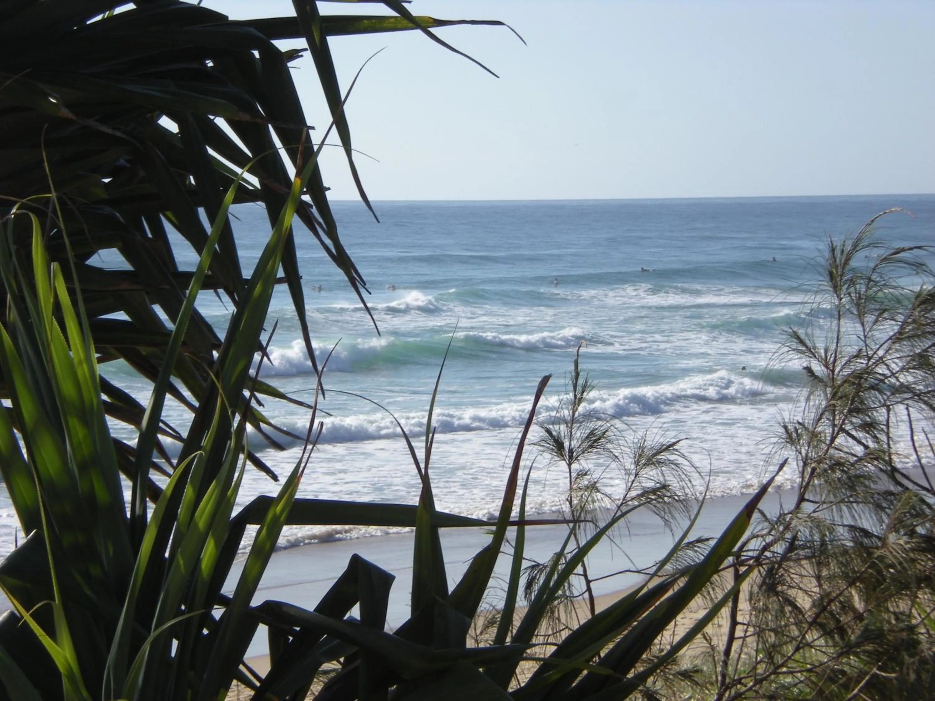 Area and facilities in Horizons At Peregian