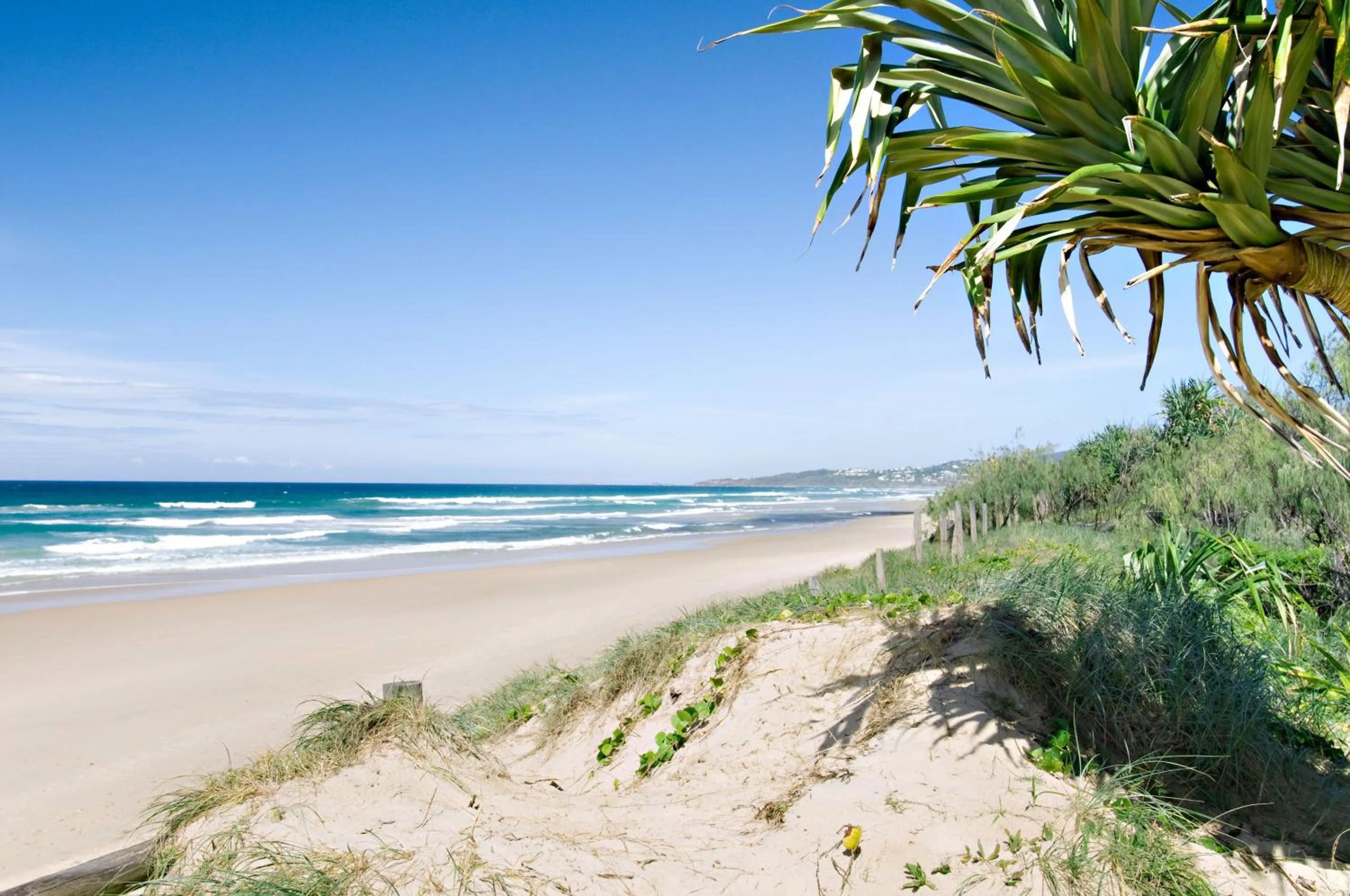 Area and facilities in Horizons At Peregian