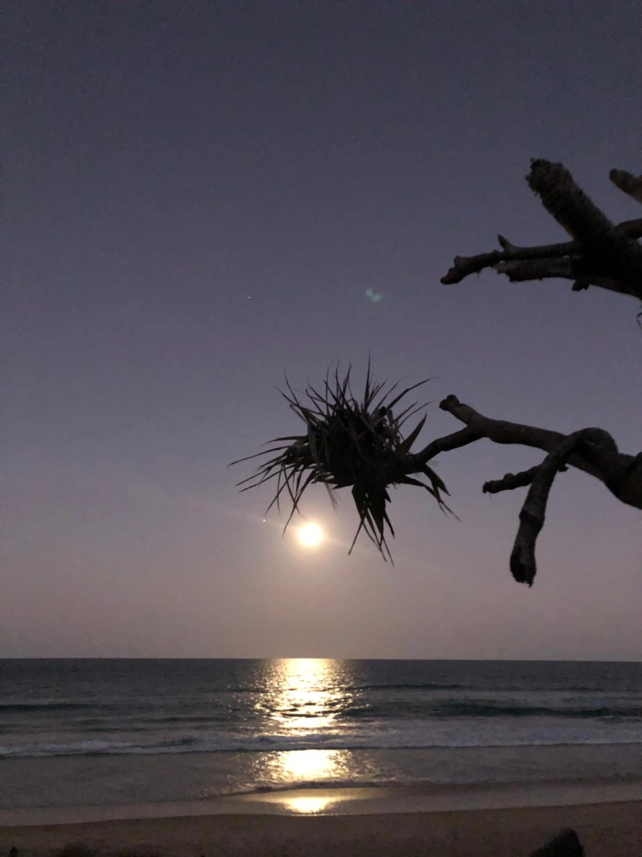 Property building in Horizons At Peregian