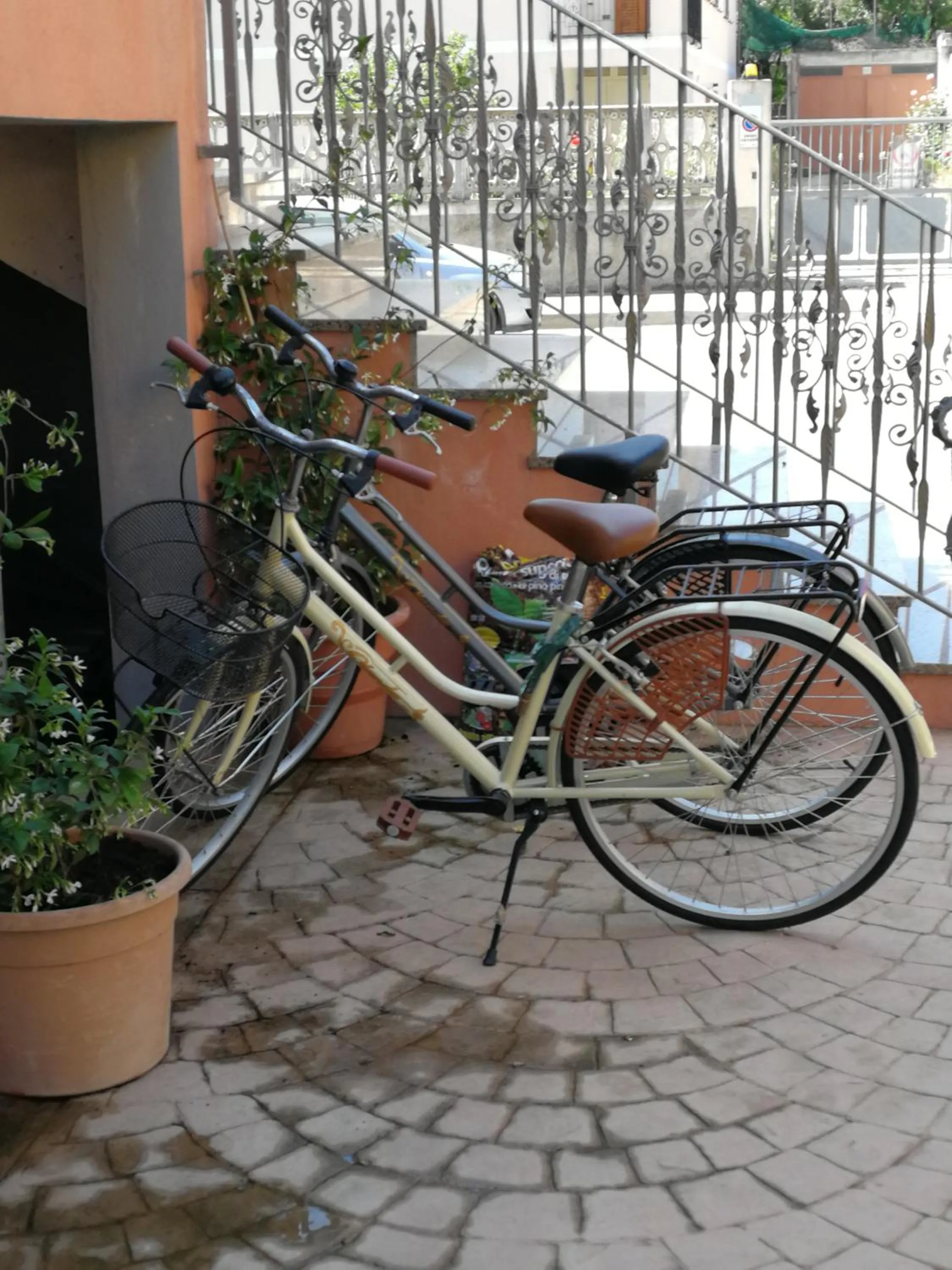 Activities in Tequila Rooms