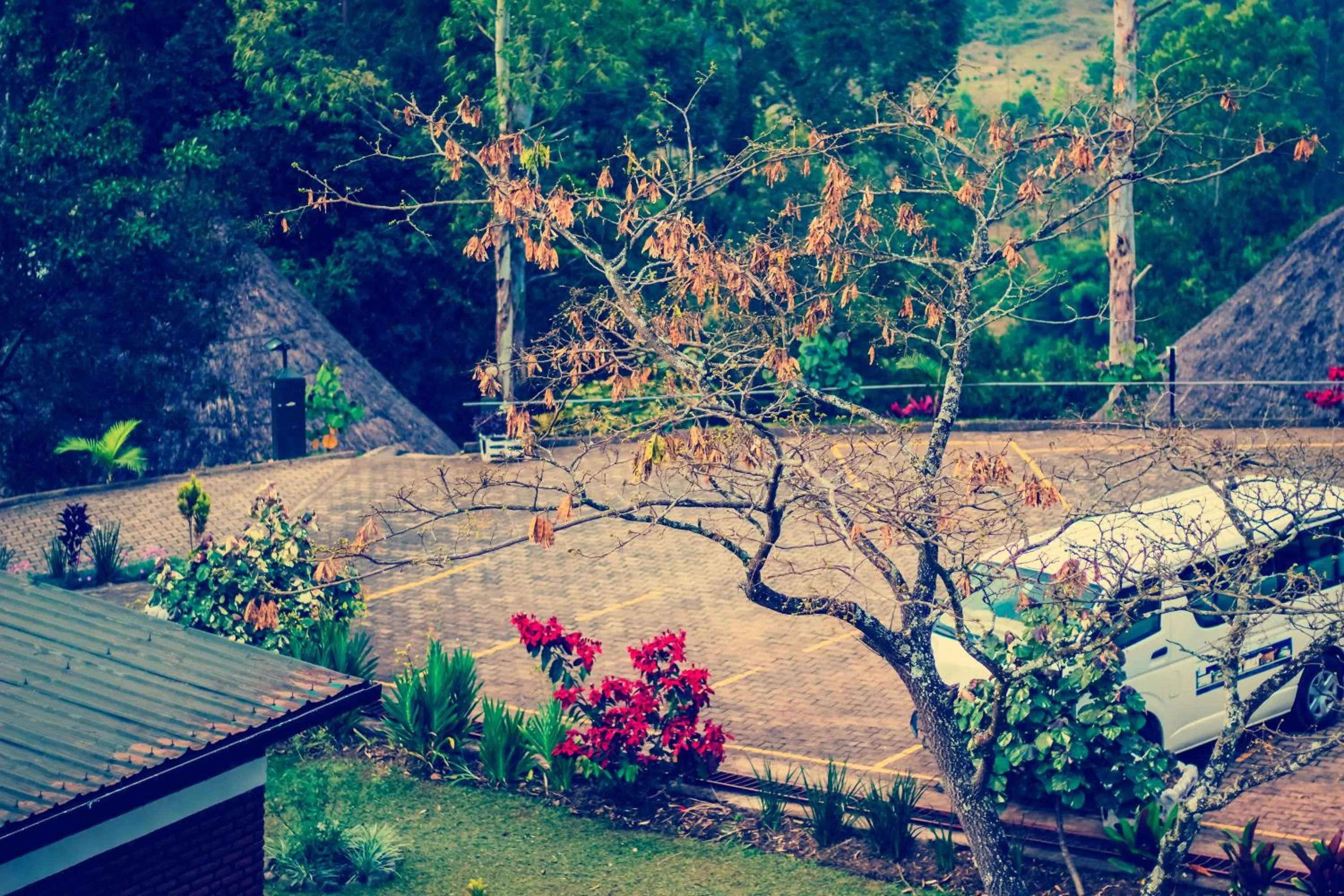 Hotel Peace Guest House