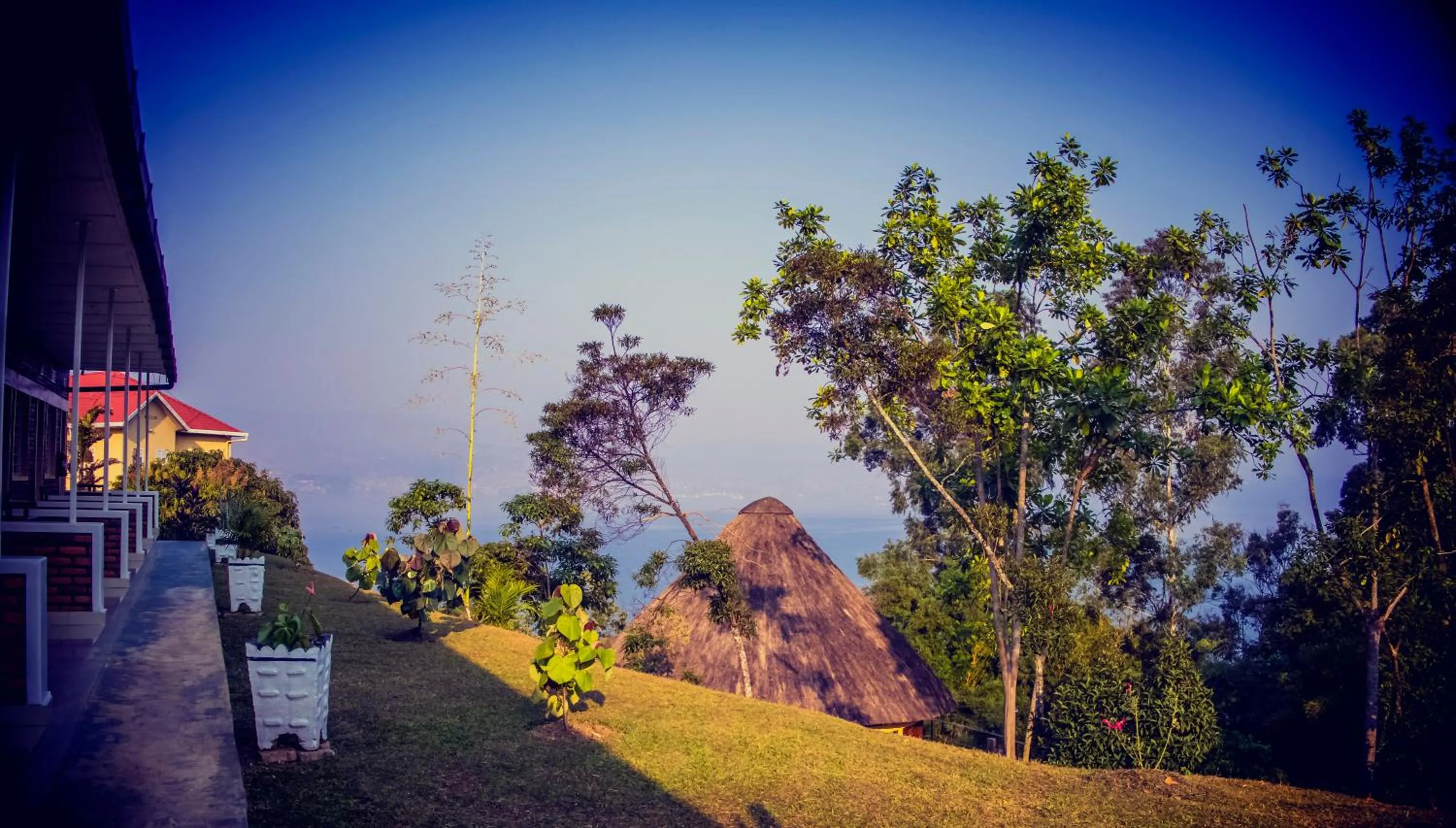 Hotel Peace Guest House