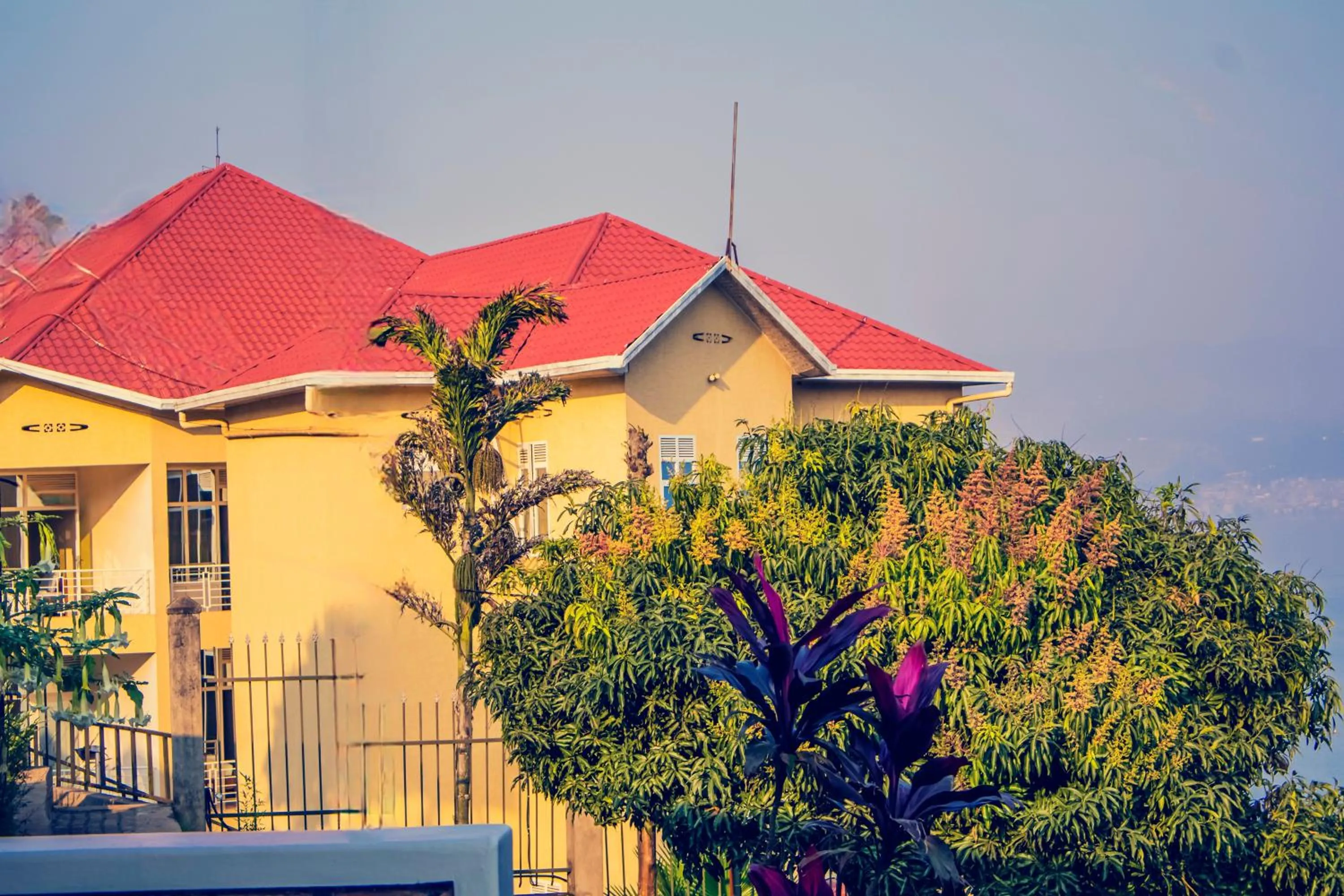 Hotel Peace Guest House