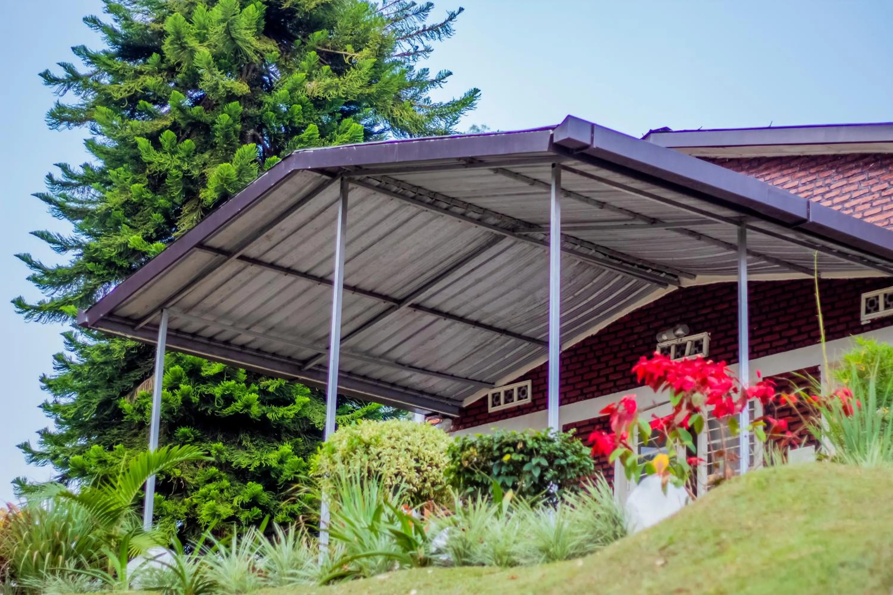 Hotel Peace Guest House