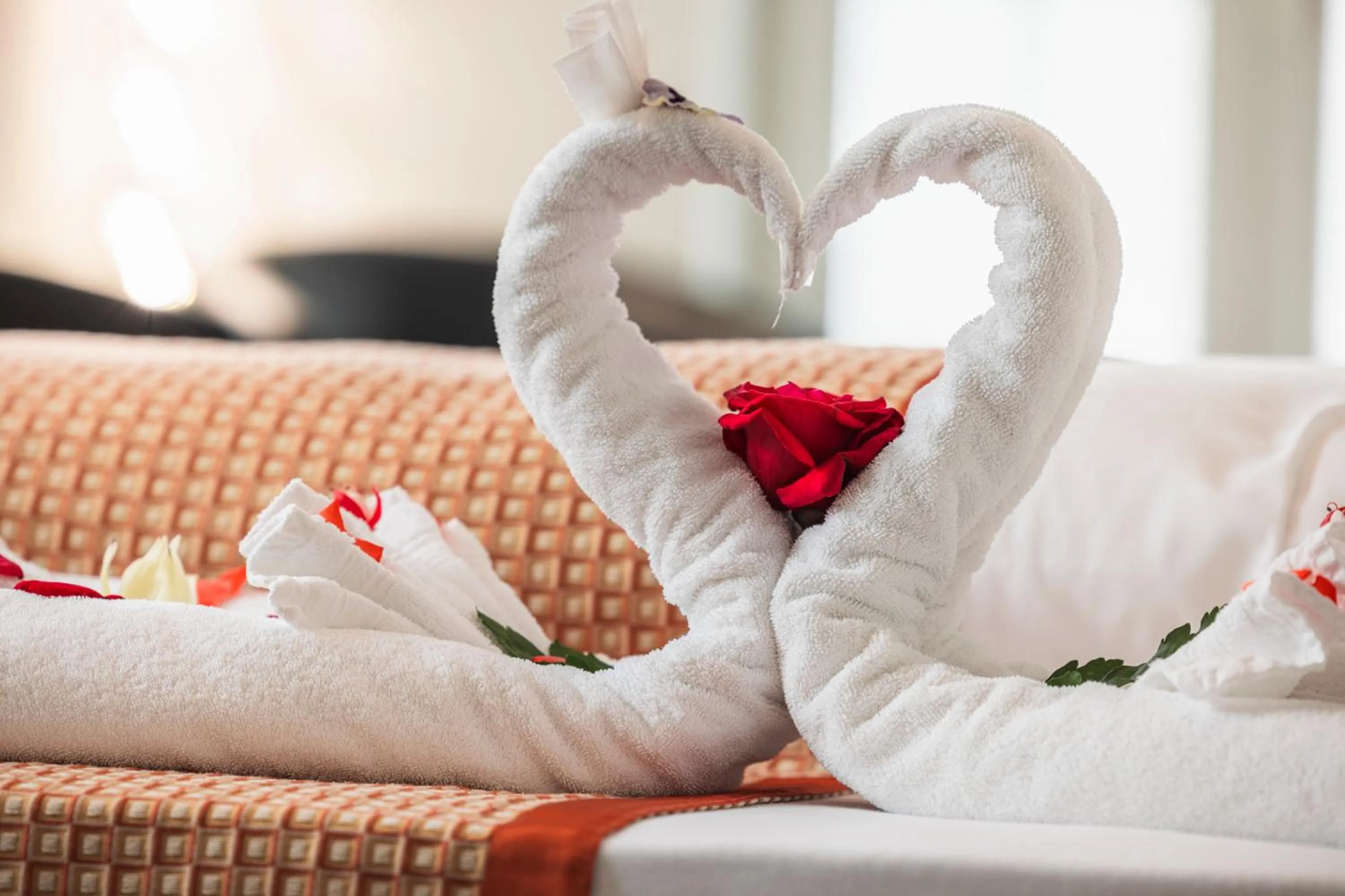 Photo of the whole room in Hotel Seehof Superior