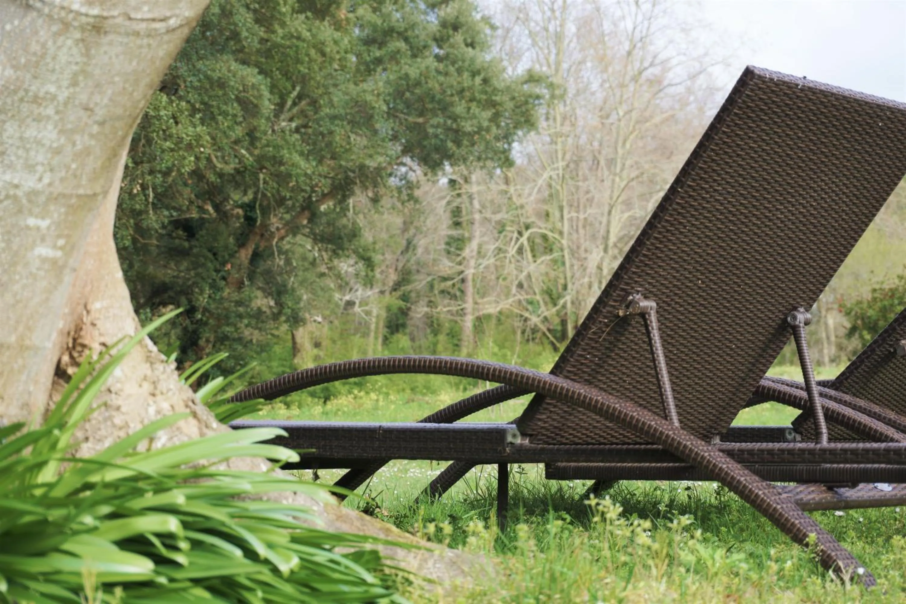 Garden in The Originals City, Hôtel Le Lodge, Ondres, Bayonne Nord