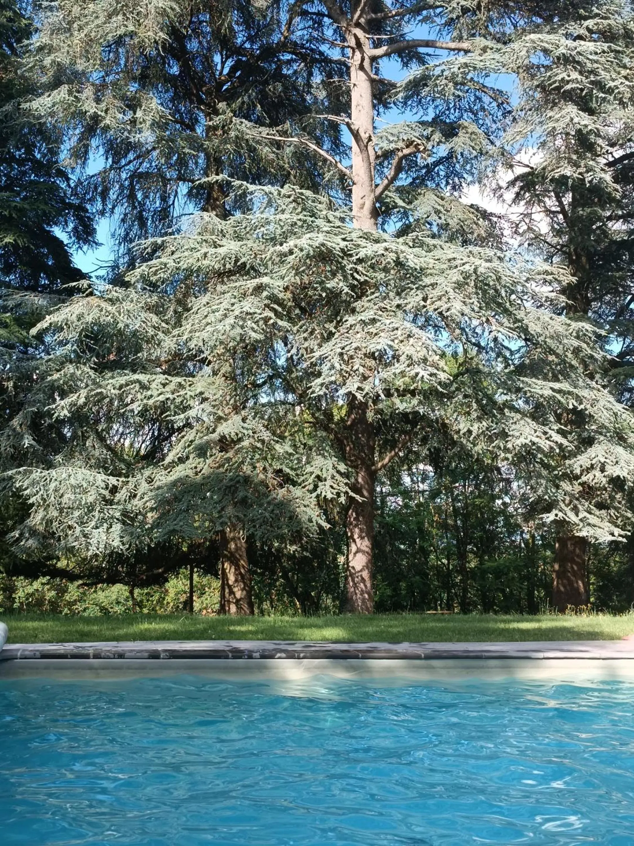 Pool view in Le Jardin Des Cèdres