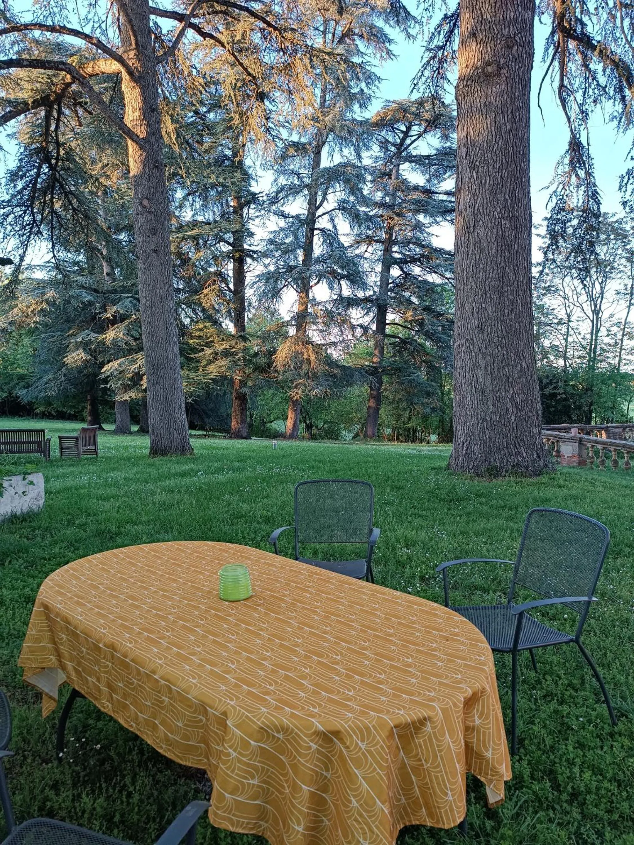 Garden in Le Jardin Des Cèdres