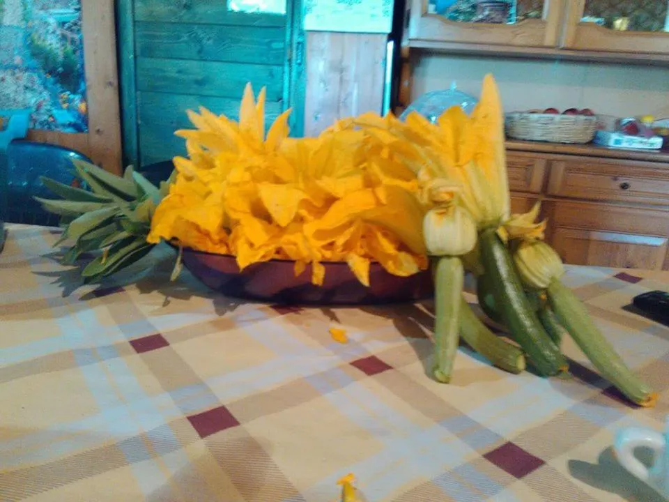 Property building in Agriturismo Cisogna