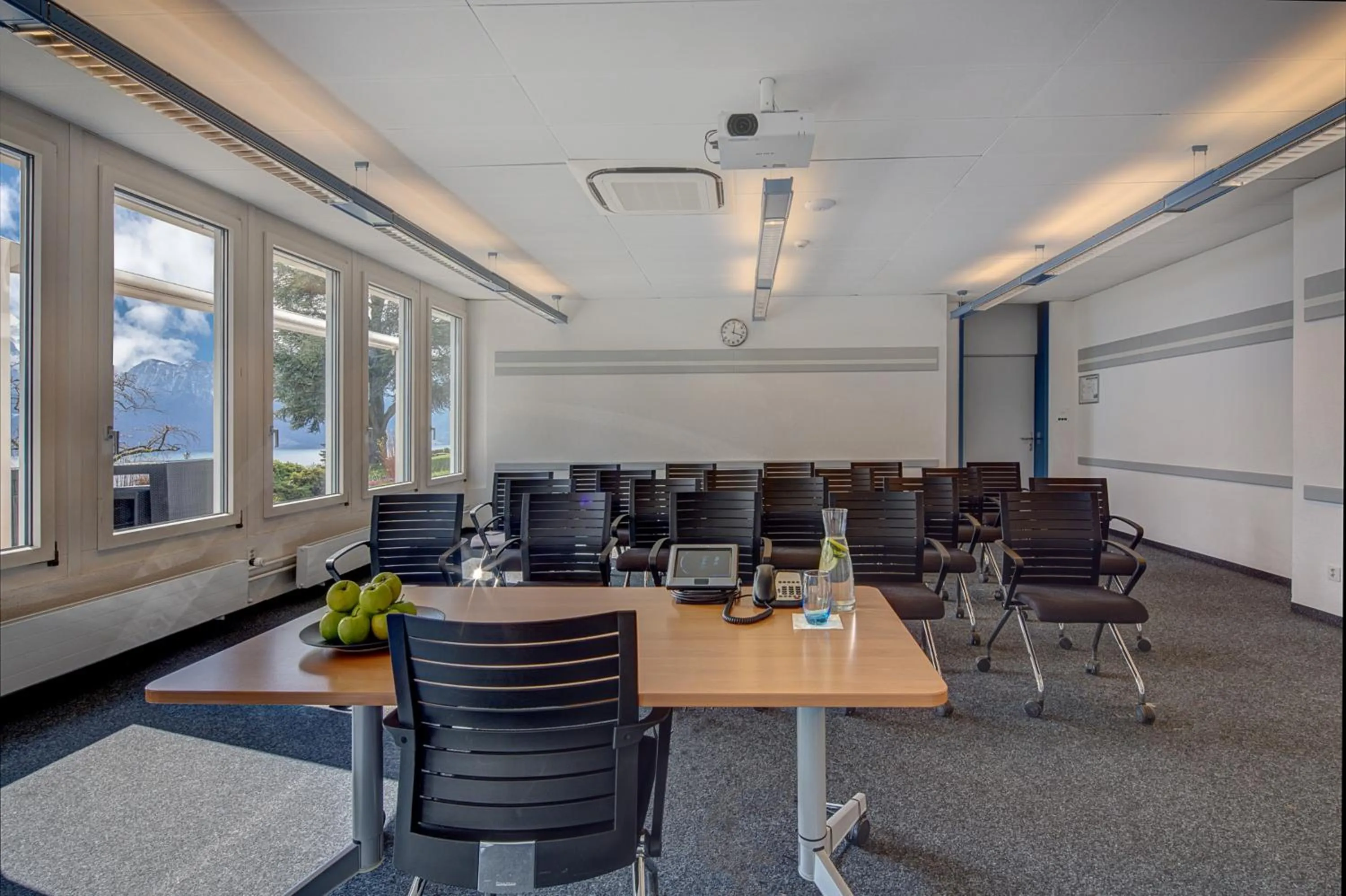 Meeting/conference room in Hotel du Léman - Jongny