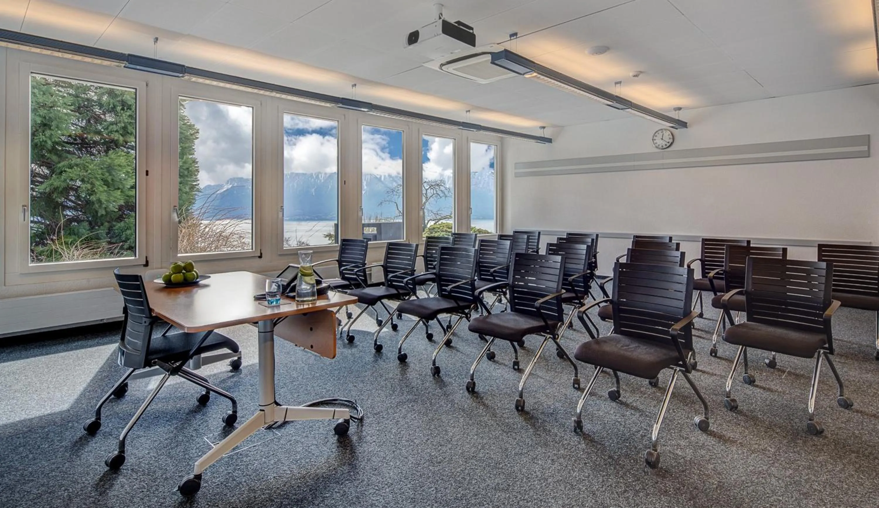 Meeting/conference room in Hotel du Léman - Jongny