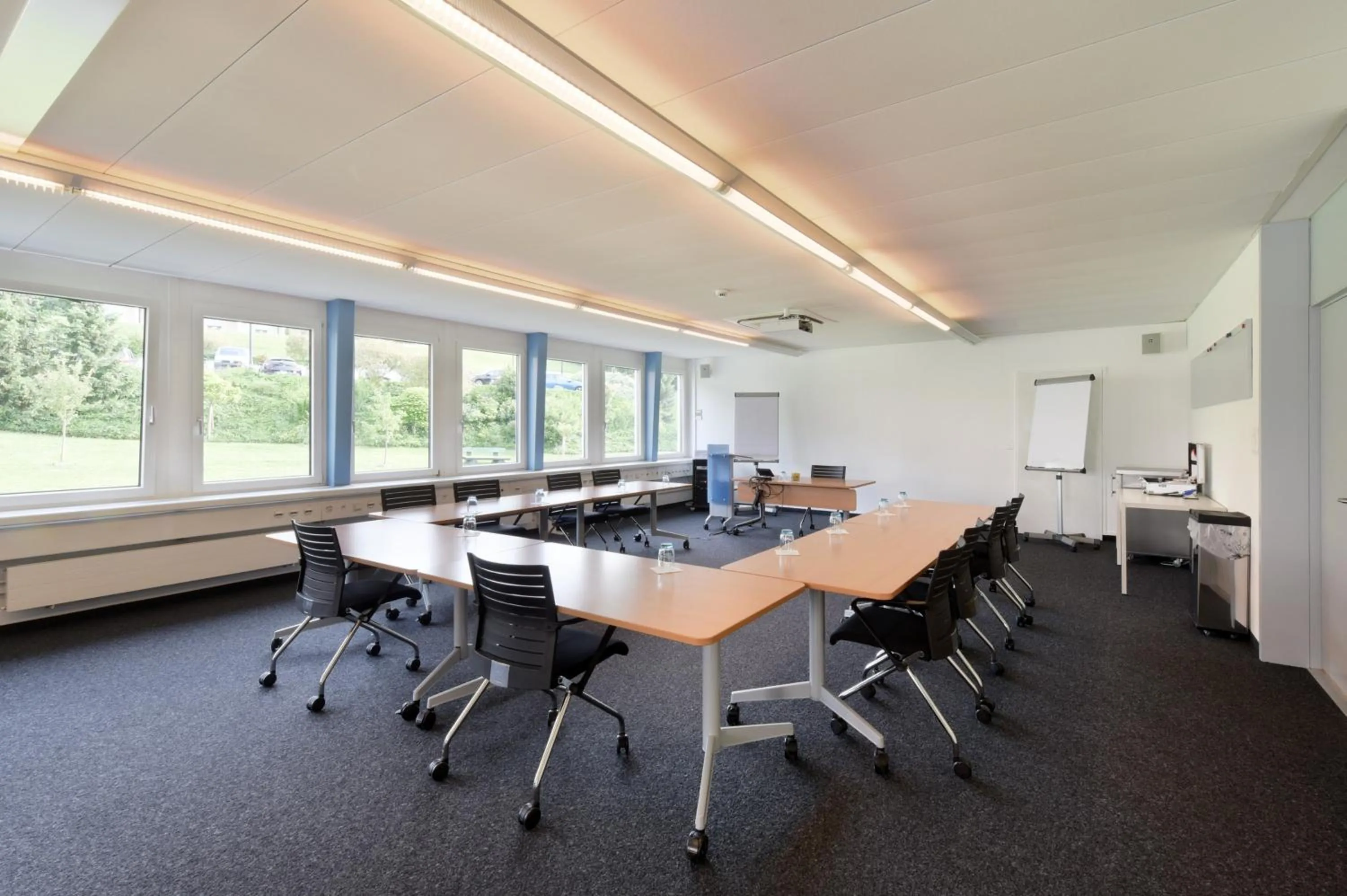 Meeting/conference room in Hotel du Léman - Jongny