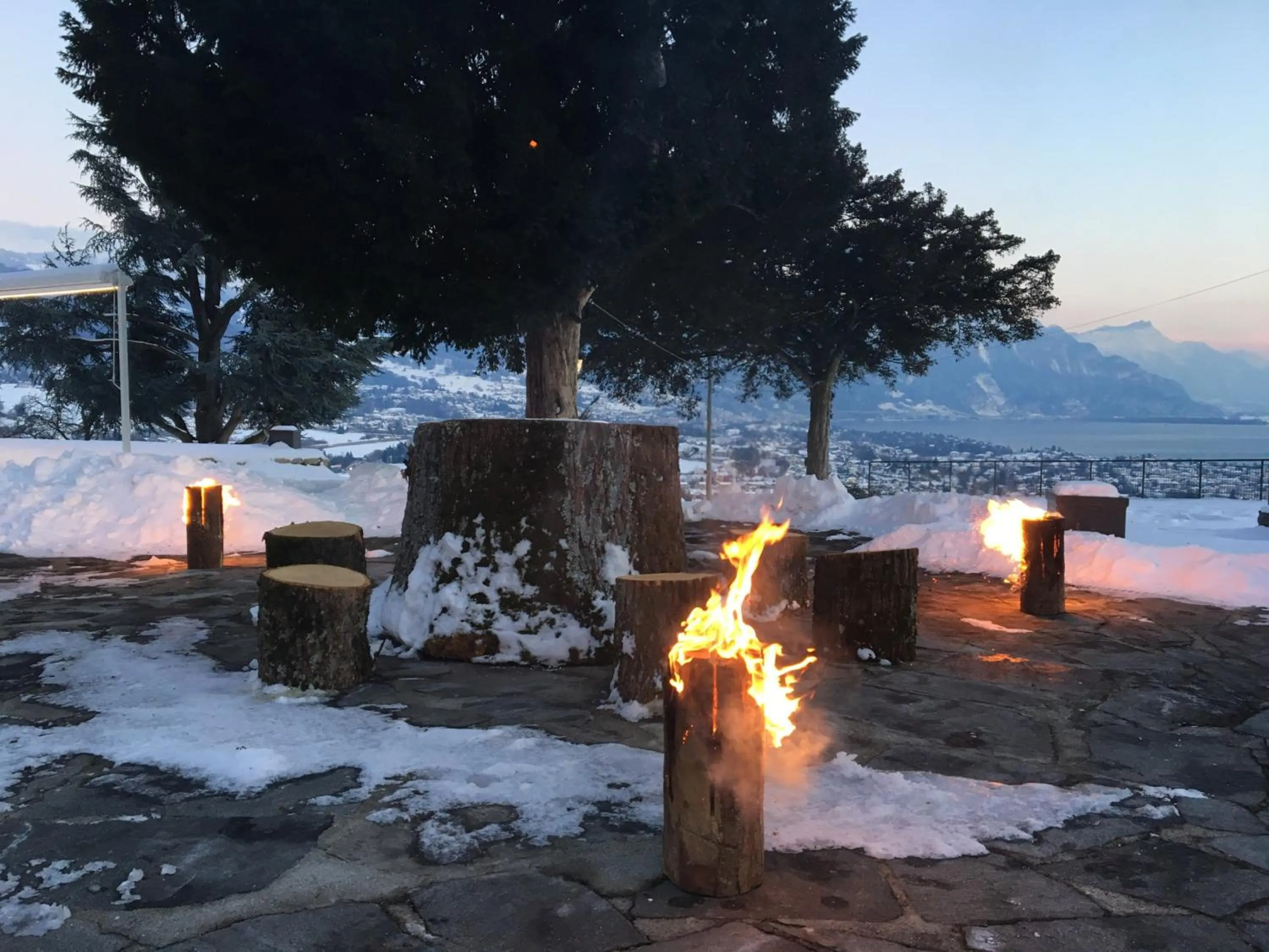 View (from property/room) in Hotel du Léman - Jongny