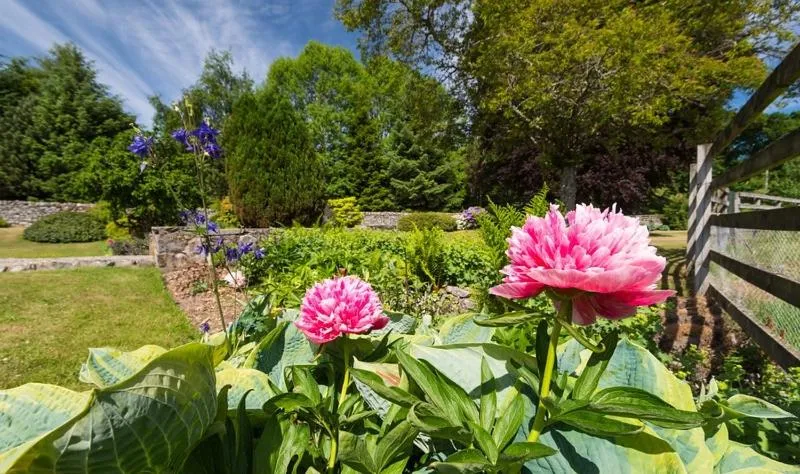 The Old Manse of Blair, Boutique Hotel & Restaurant