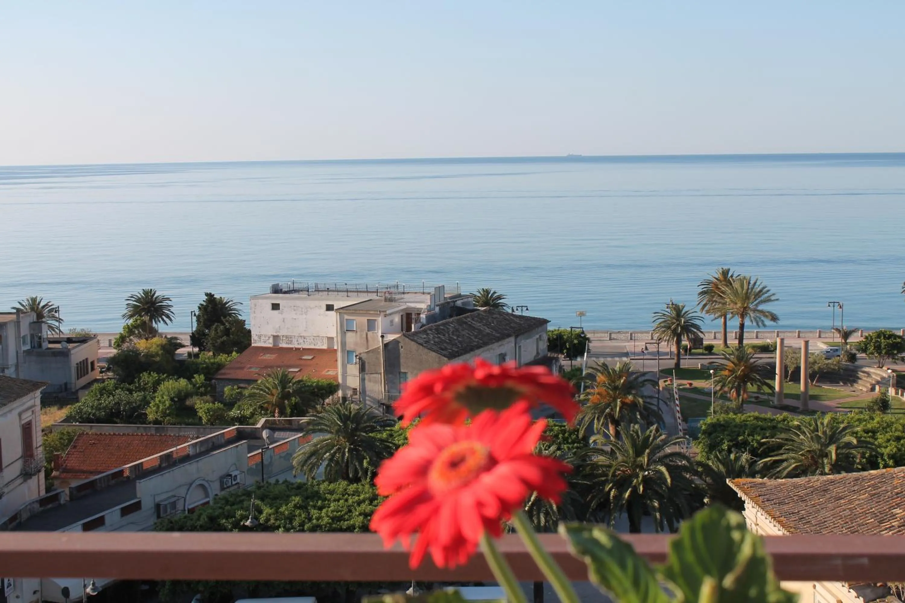 Balcony/Terrace in Hotel Mediterraneo